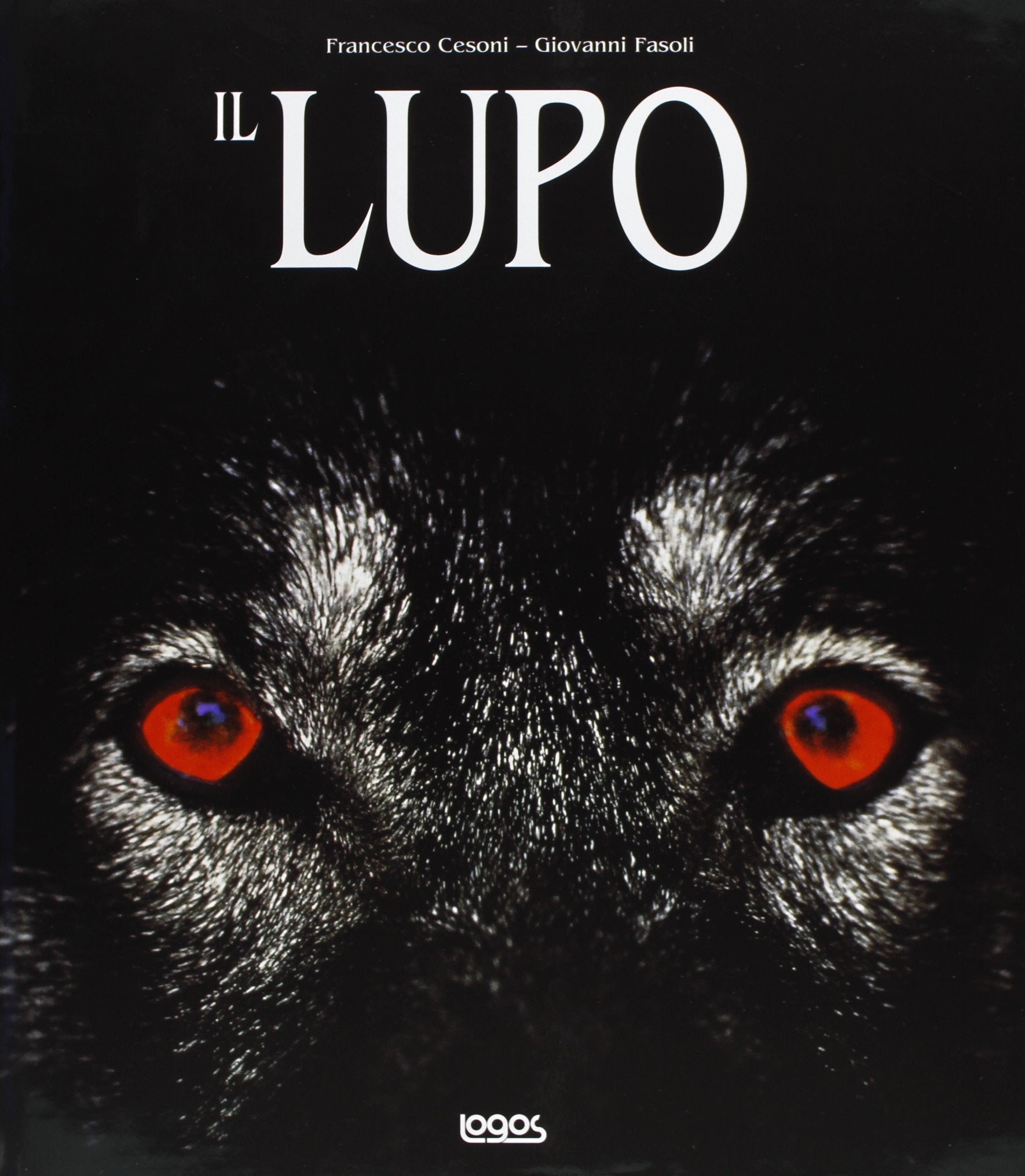 Il lupo. Ediz. illustrata book