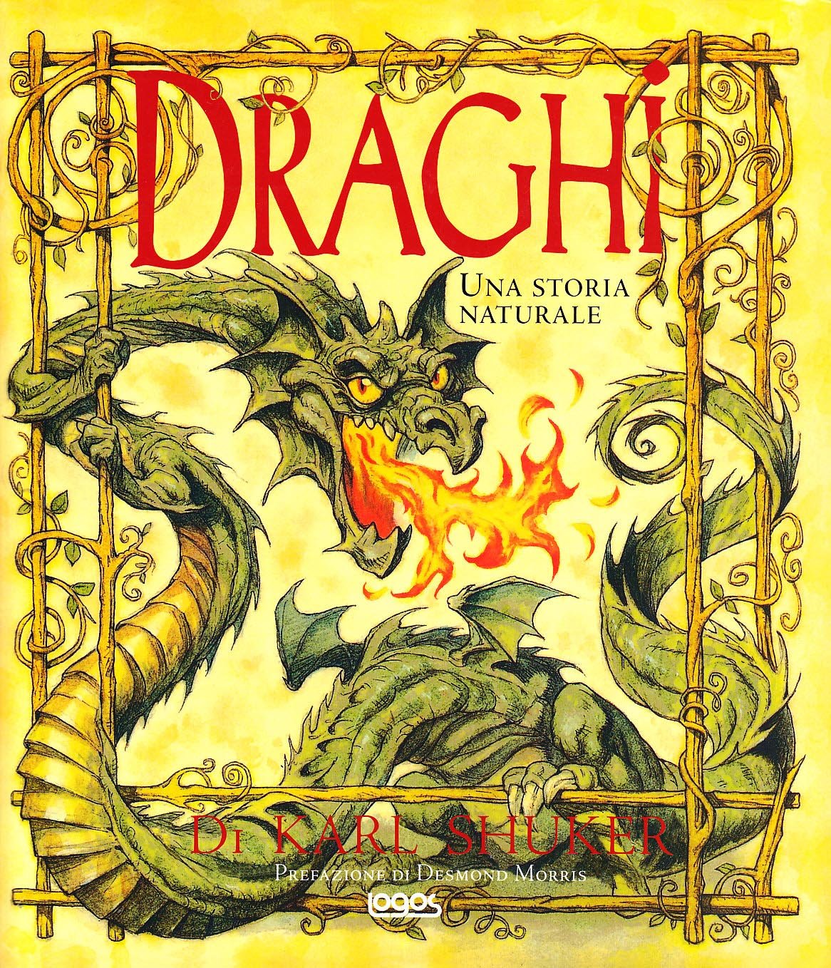 Draghi. Ediz. illustrata book