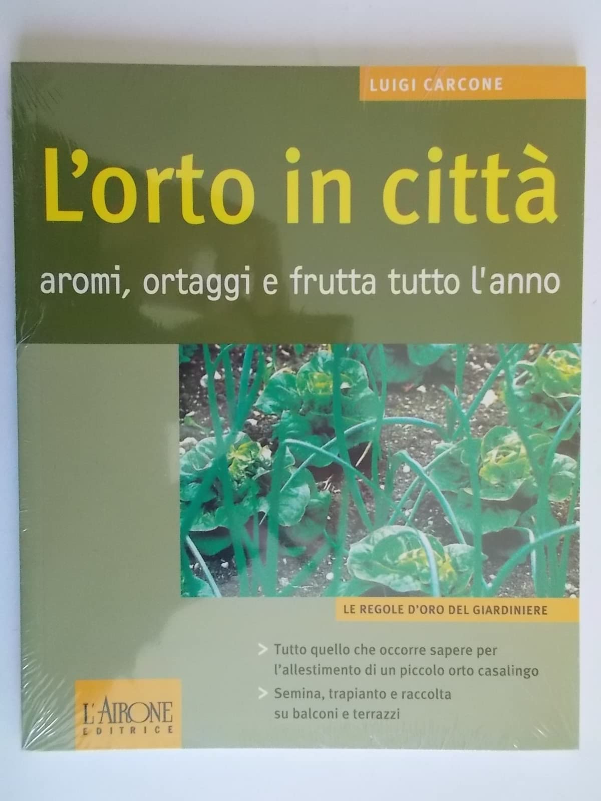 L'orto in città. Aromi, ortaggi e frutta tutto l'anno Leisure, Home & Garden