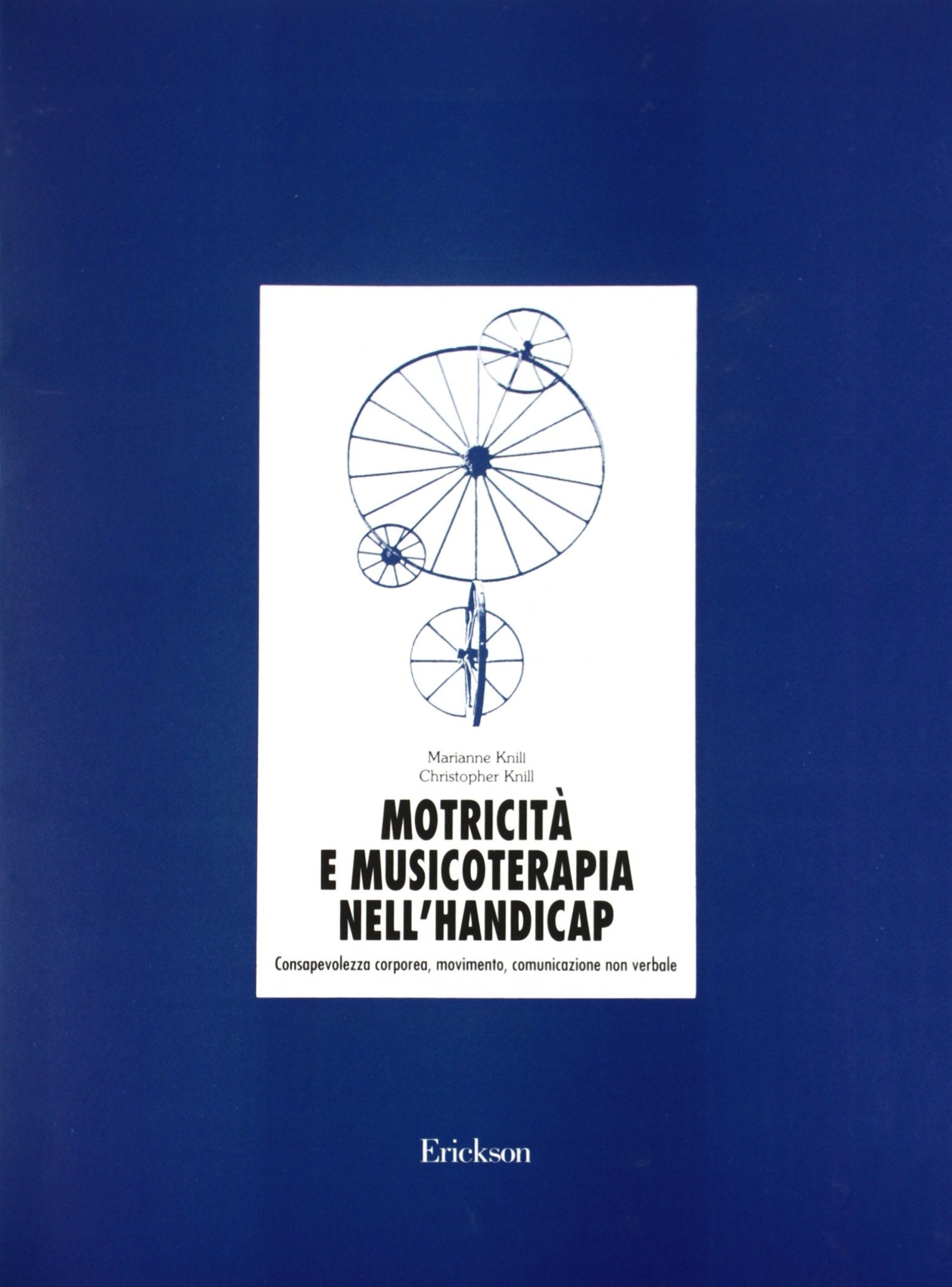 Motricità e musicoterapia nell'handicap. Consapevolezza corporea, movimento, comunicazione non verbale. Con cassette book