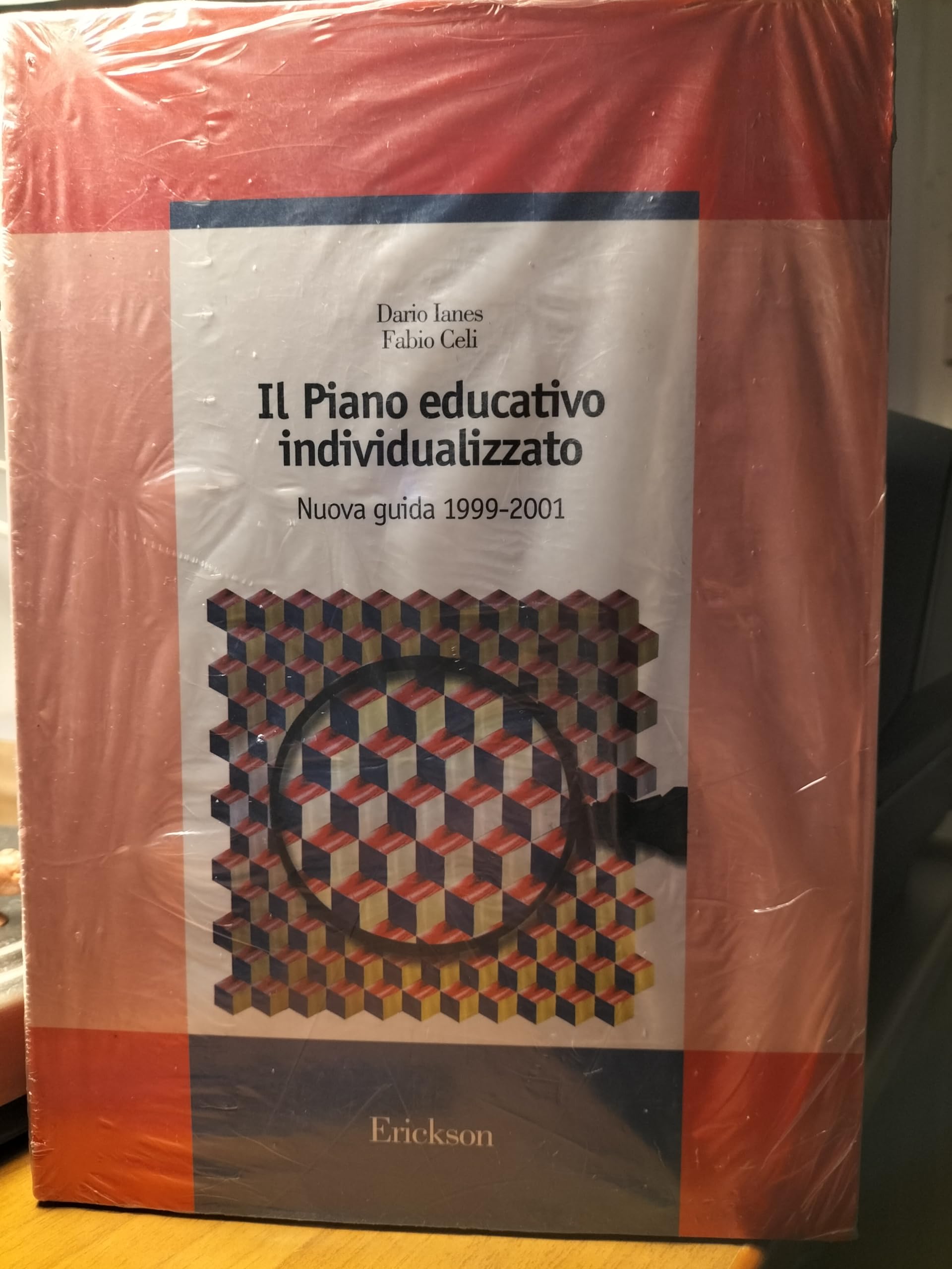 Il piano educativo individualizzato book