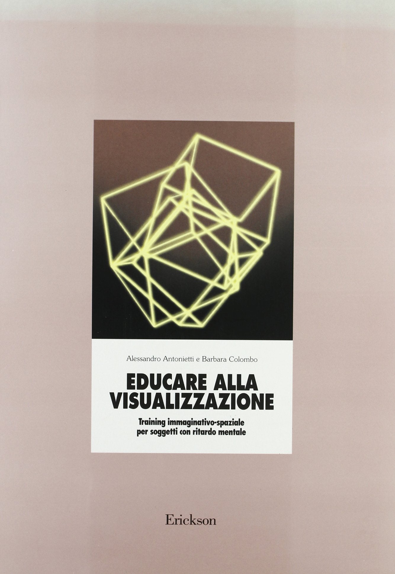 Educare alla visualizzazione. Training immaginativo-spaziale per soggetti con ritardo mentale book
