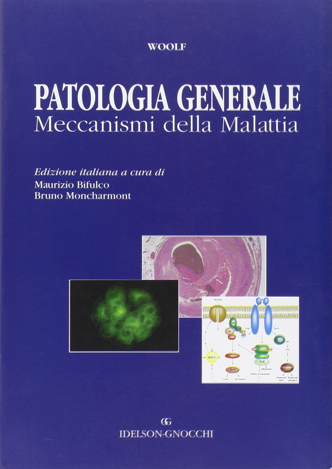 Patologia generale. Meccanismi della malattia book