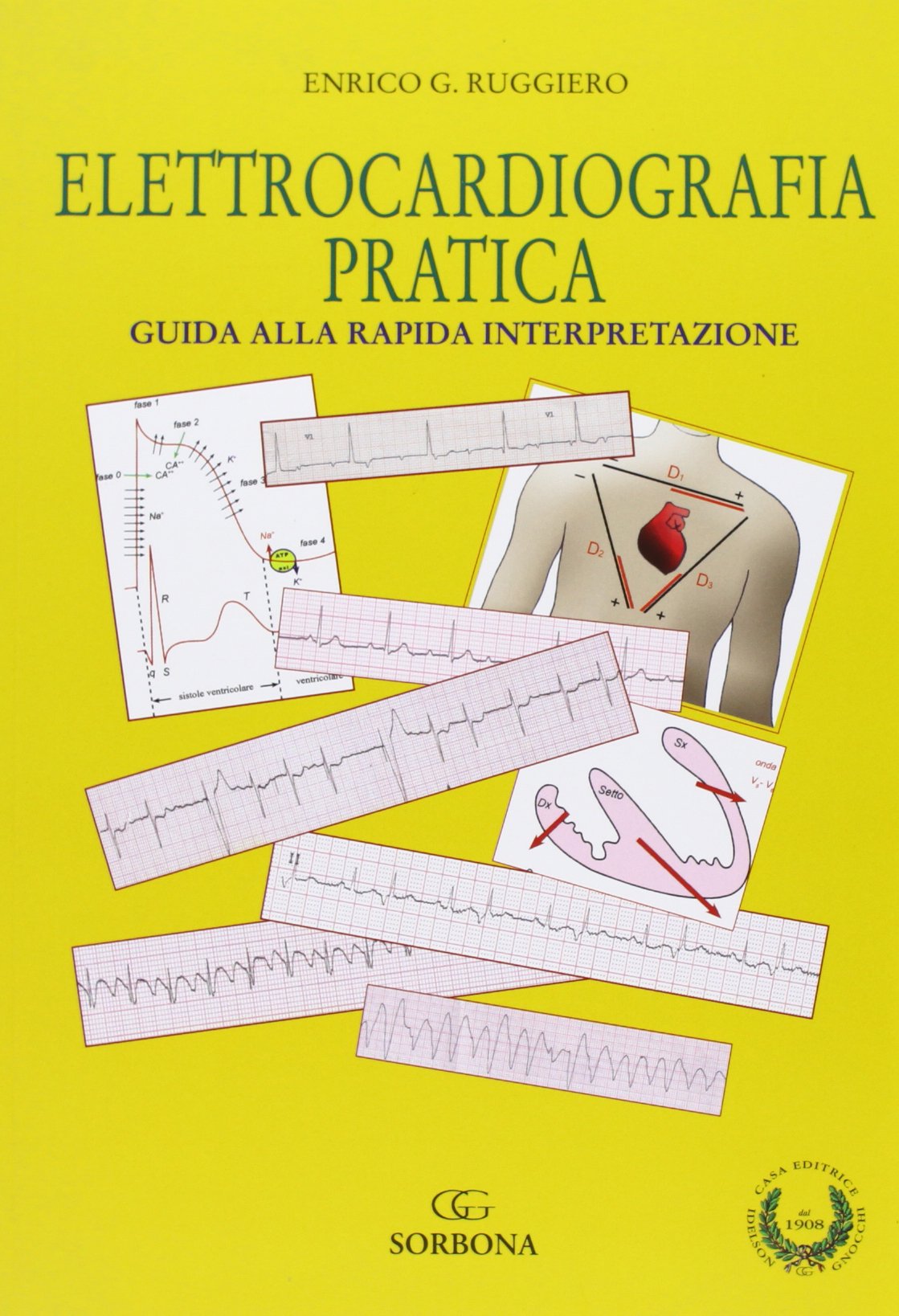 Elettrocardiografia pratica. Guida alla rapida interpretazione book