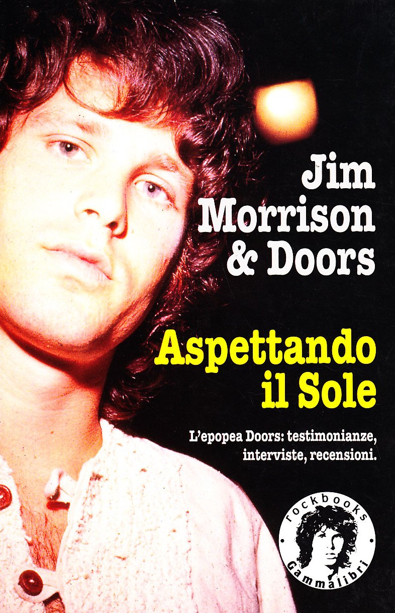 Jim Morrison & Doors. Aspettando il sole book