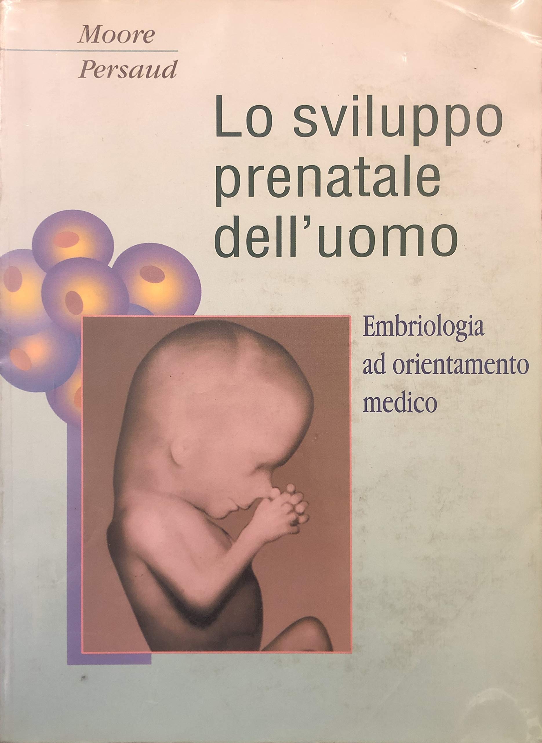 Lo sviluppo prenatale dell'uomo Medicine