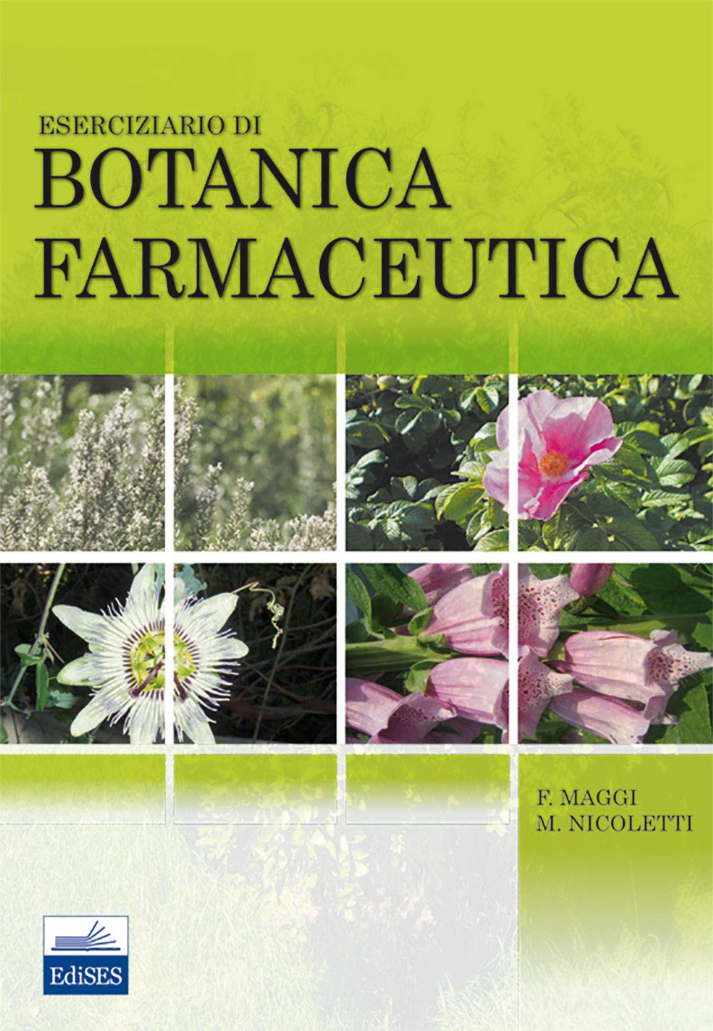 Esercizio di botanica farmaceutica Medicine