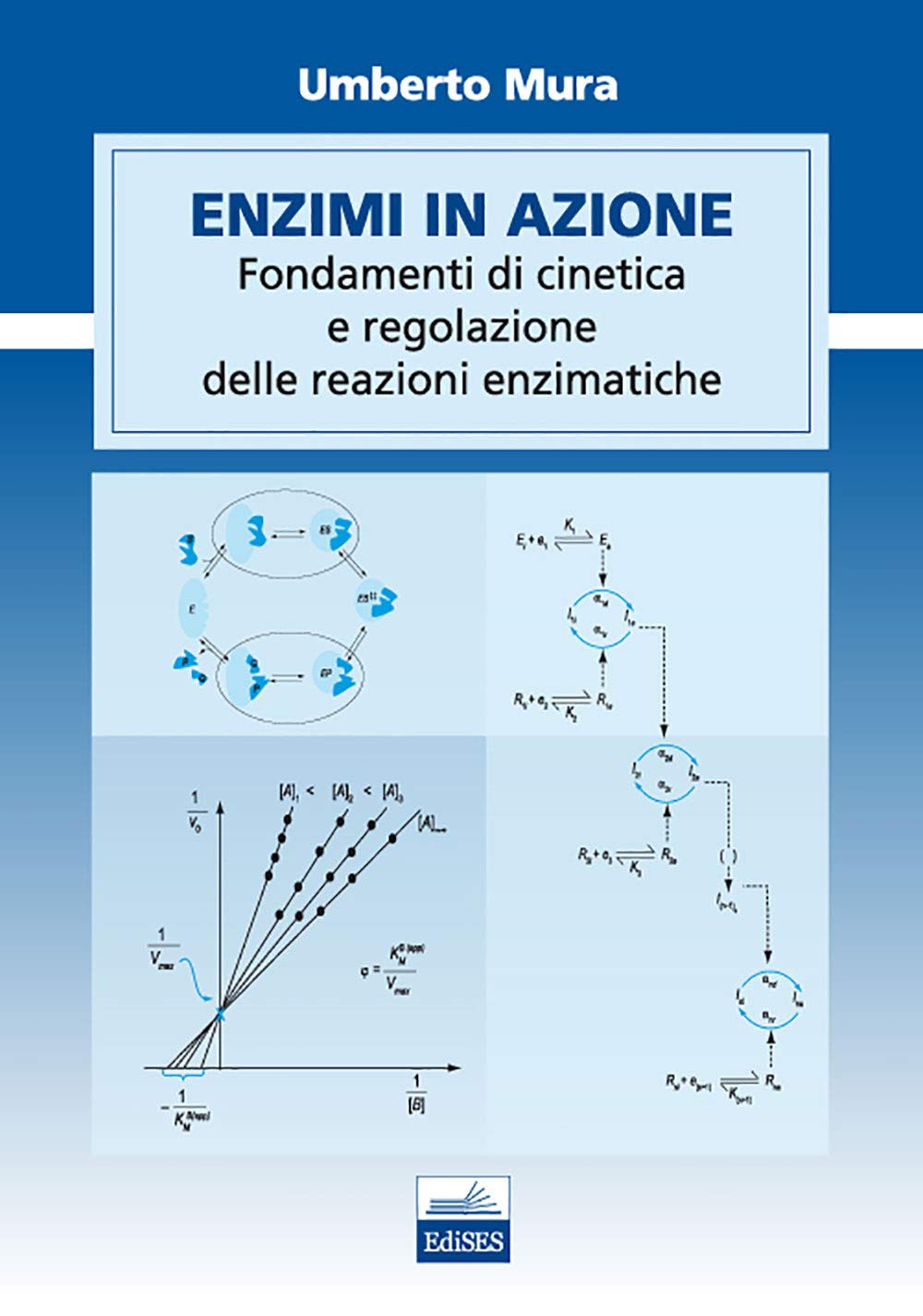 Enzimi in azione. Fondamenti di cinetica e regolazione delle funzioni enzimatiche book