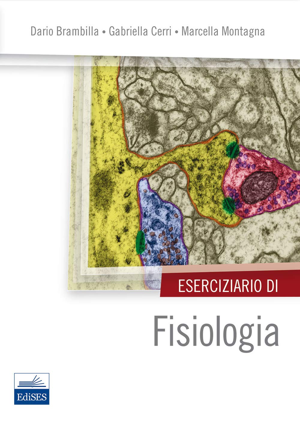 Eserciziario di fisiologia Medicine
