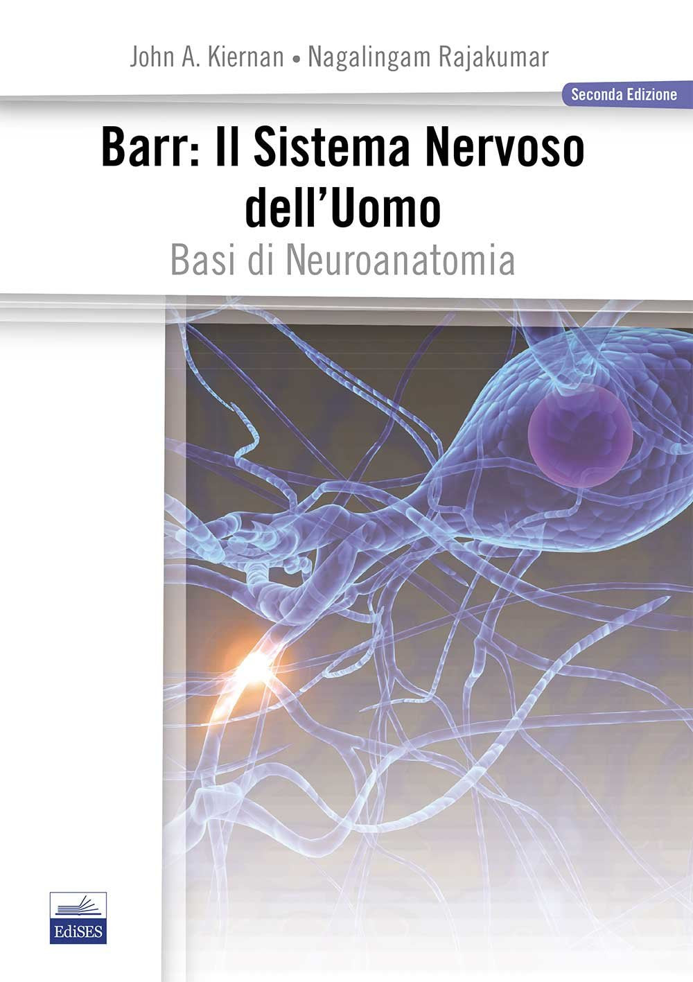 Barr. Il sistema nervoso dell'uomo. Basi di neuroanatomia book