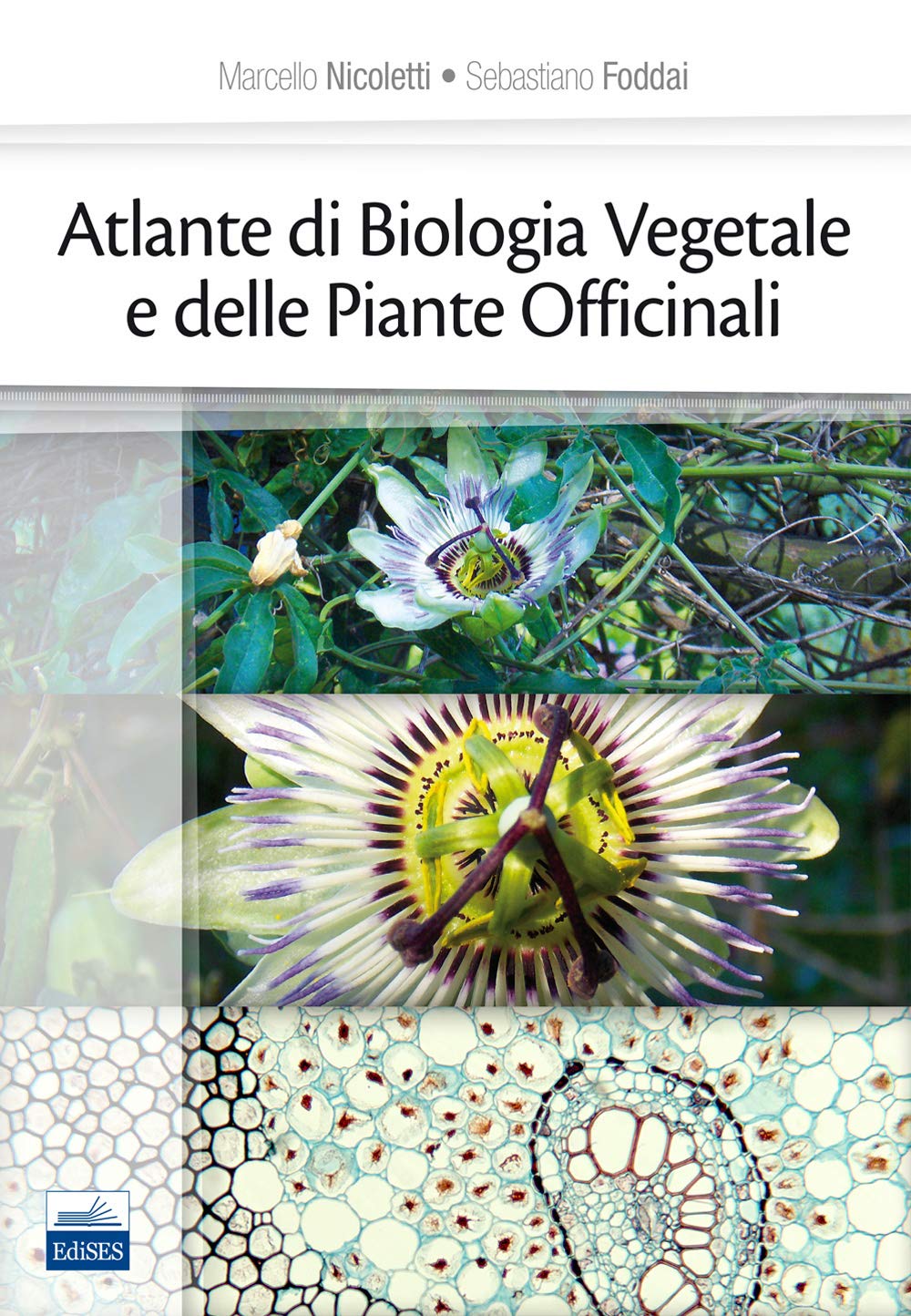 Atlante di biologia vegetale e delle piante officinali book