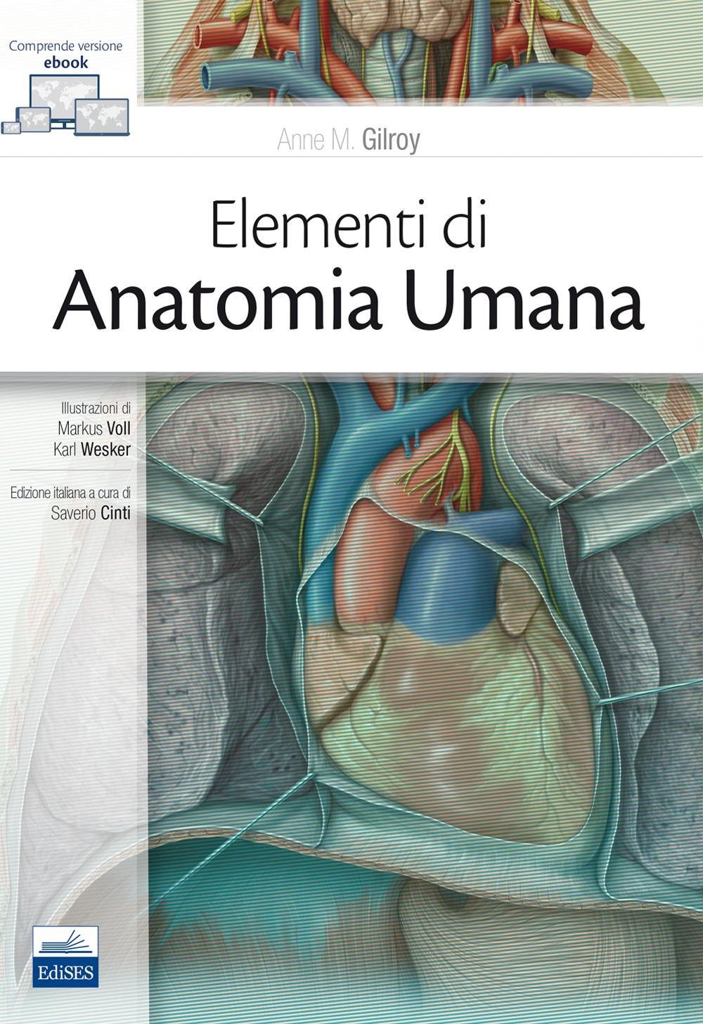 Elementi di anatomia umana. Con Contenuto digitale (fornito elettronicamente) Medicine