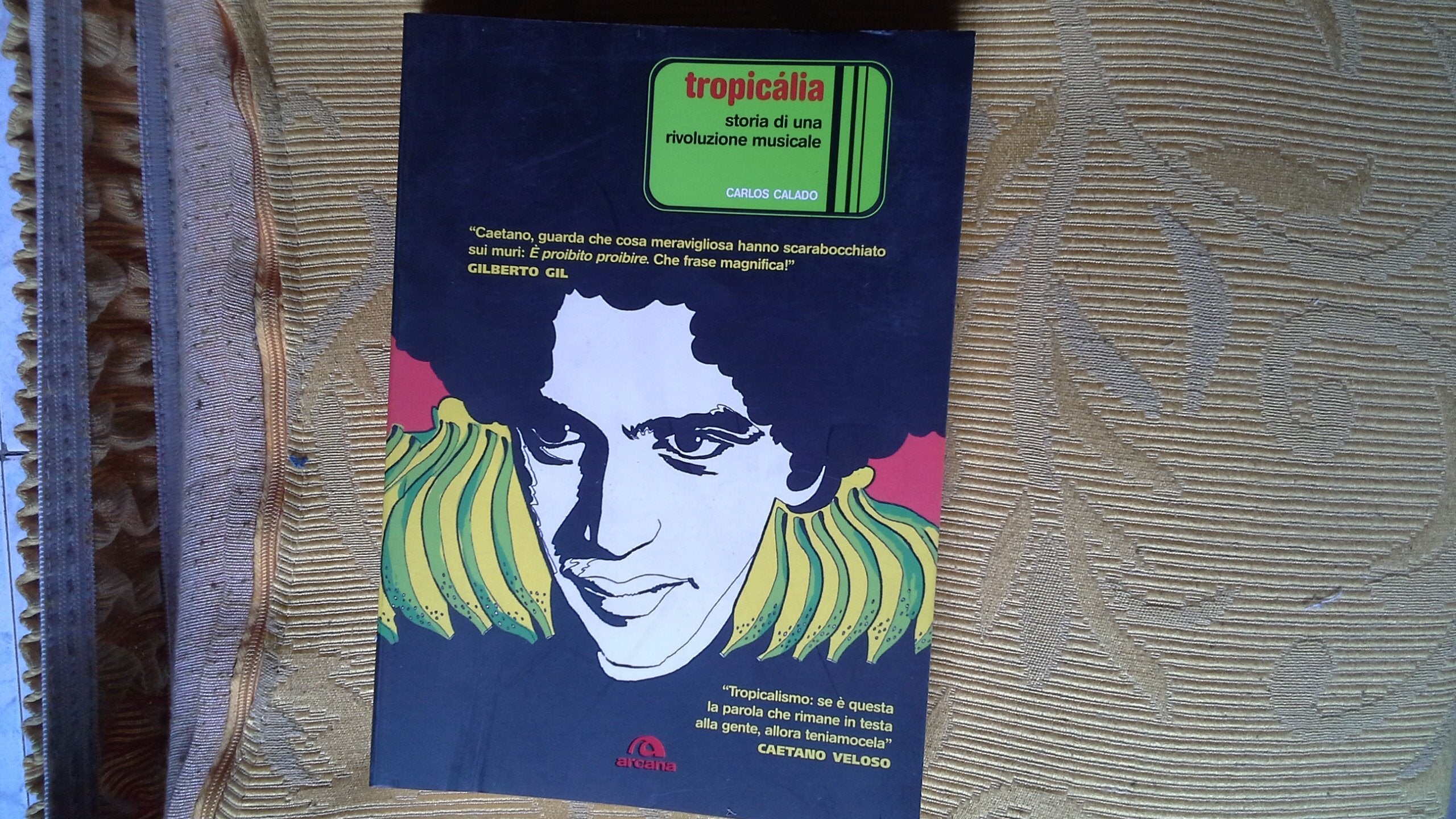 Tropicália. Storia di una rivoluzione musicale book