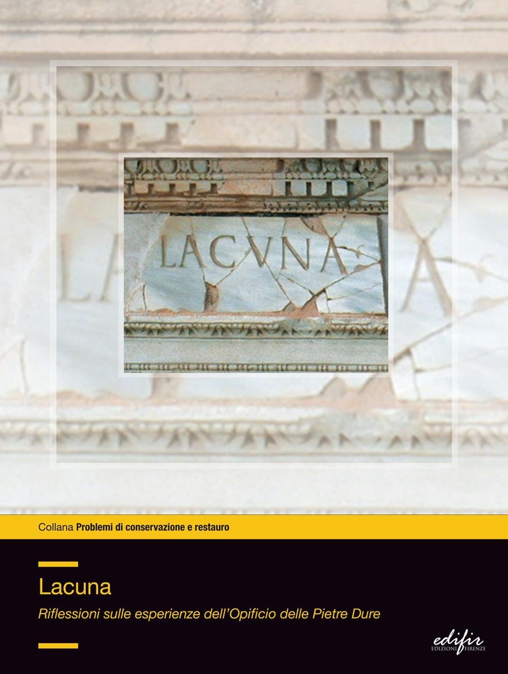 Lacuna. Riflessioni sulle esperienze dell'Opificio delle pietre dure book