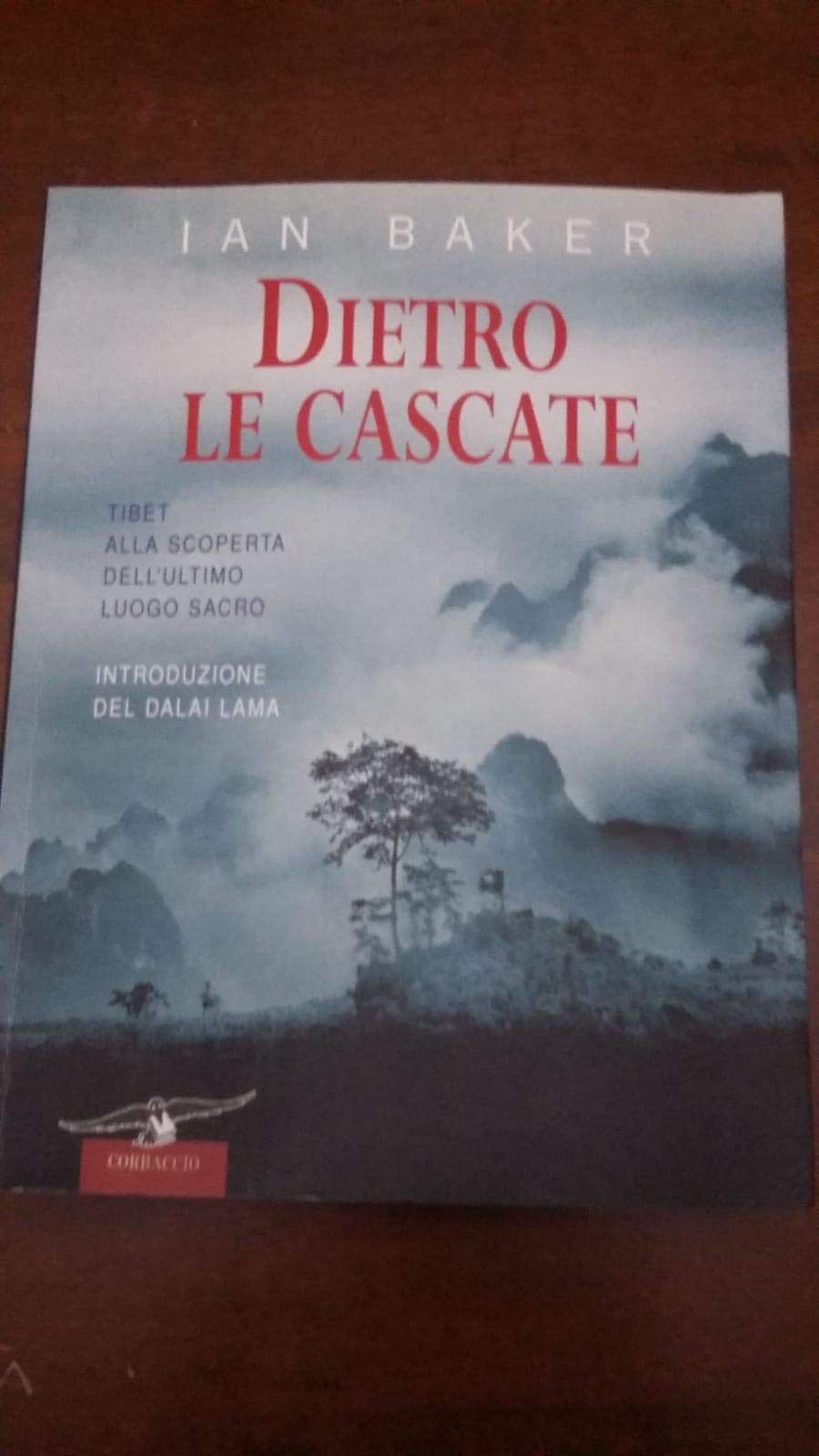 Dietro le cascate. Un viaggio nell'ultimo luogo segreto (Exploits) Leisure, Home & Garden