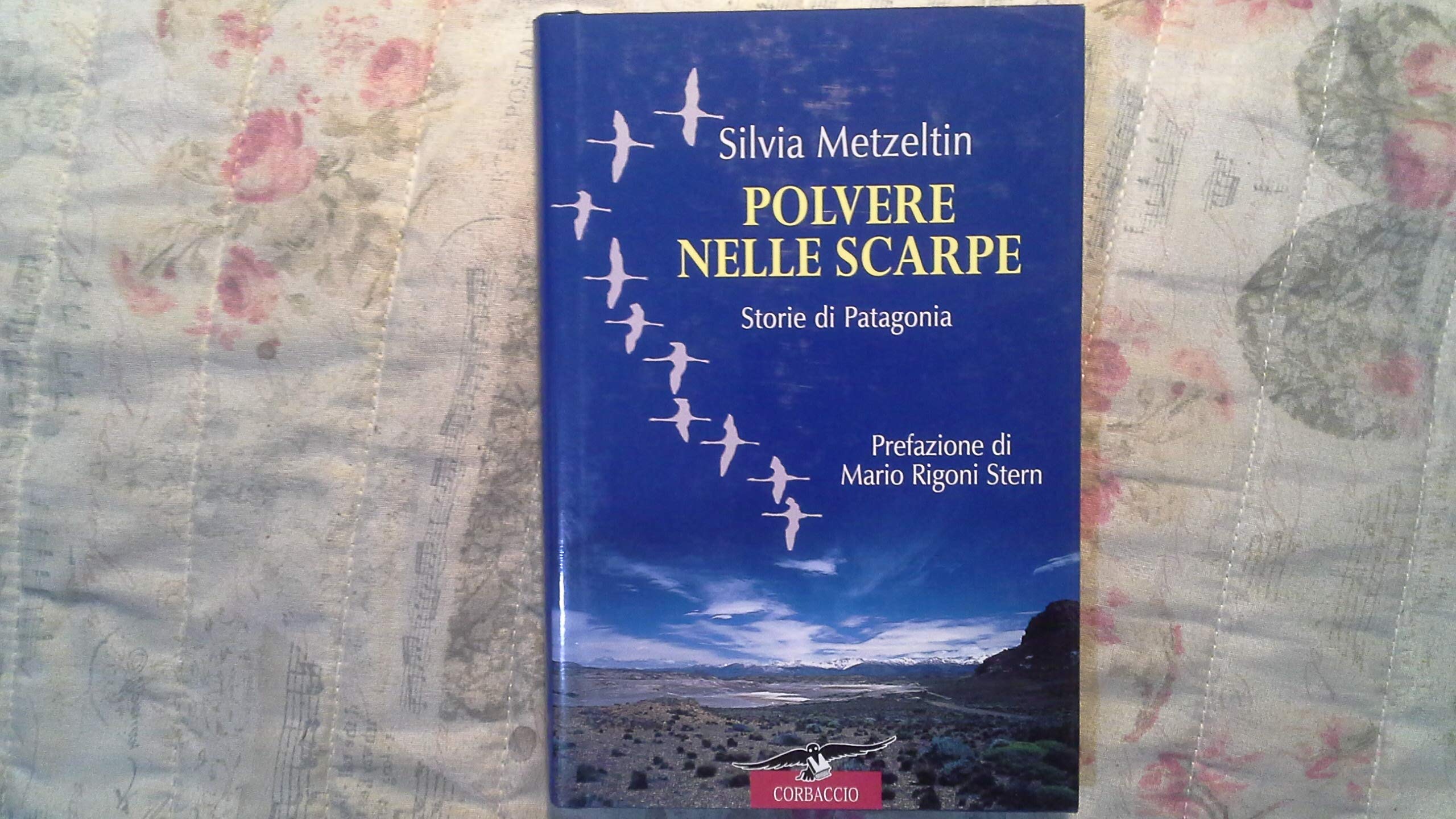Polvere nelle scarpe. Storie di Patagonia Leisure, Home & Garden