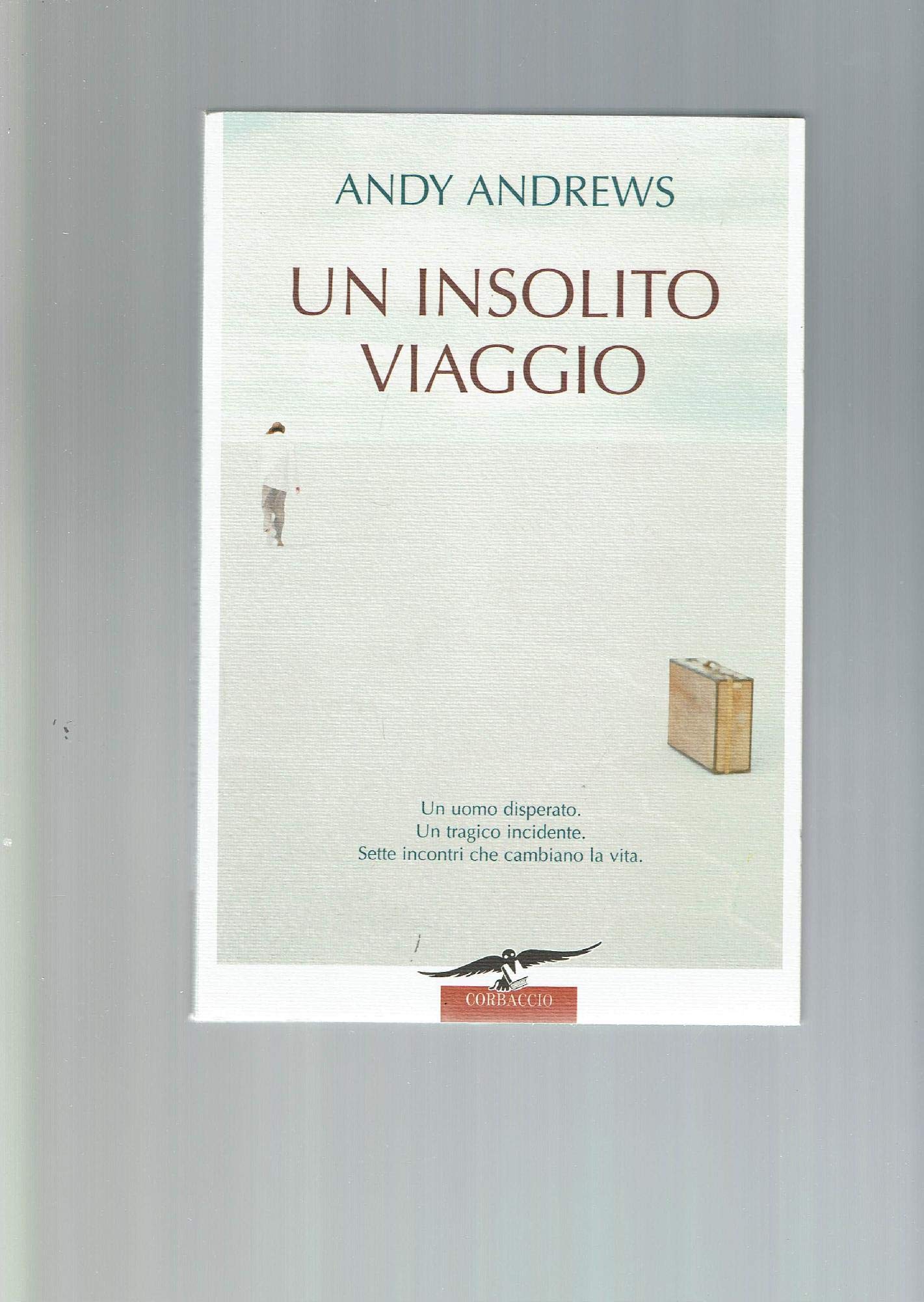 Un insolito viaggio (New age) Contemporary literature