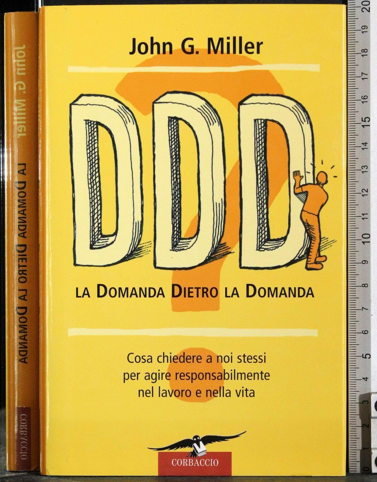 DDD! La domanda dietro la domanda (Varia) Books