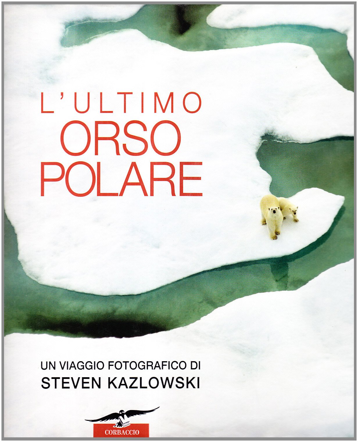 L'ultimo orso polare. Ediz. illustrata book
