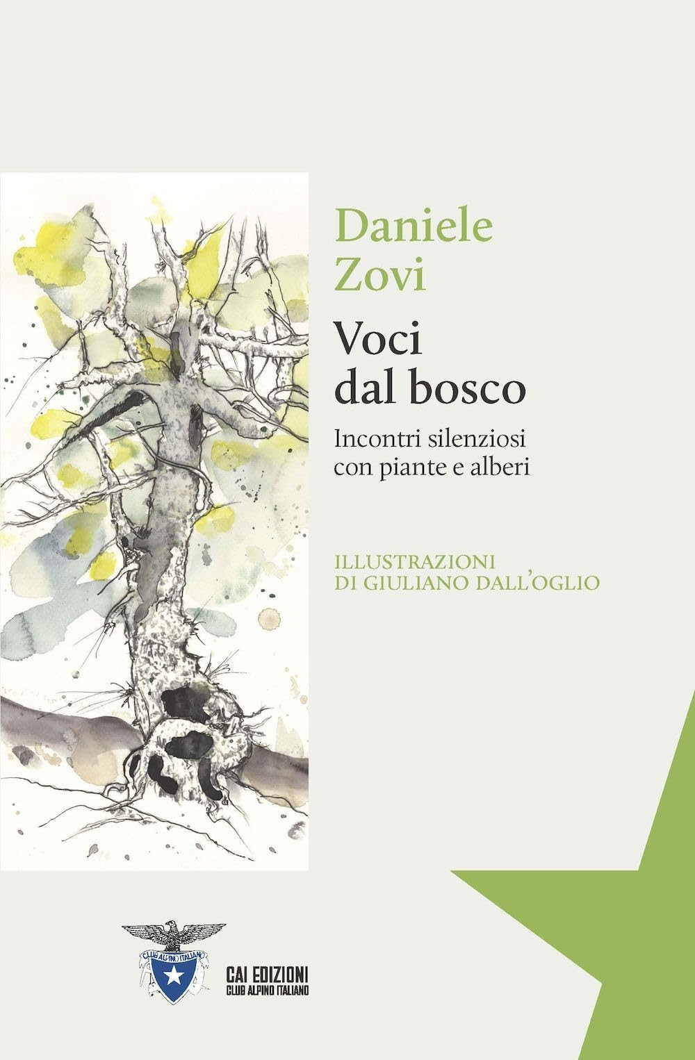 Voci dal bosco. Incontri silenziosi con piante e alberi (Il Rifugio delle Idee) Leisure, Home & Garden