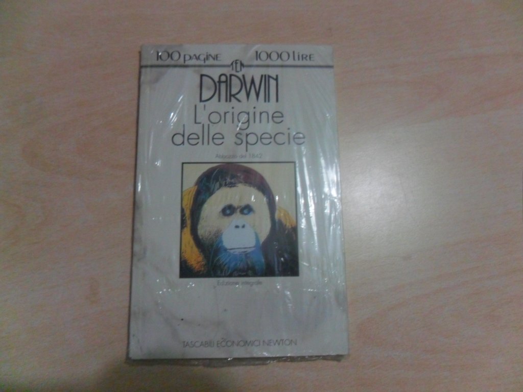 L'origine delle specie. Abbozzo del 1842 (Tascabili economici Newton) Natural Sciences