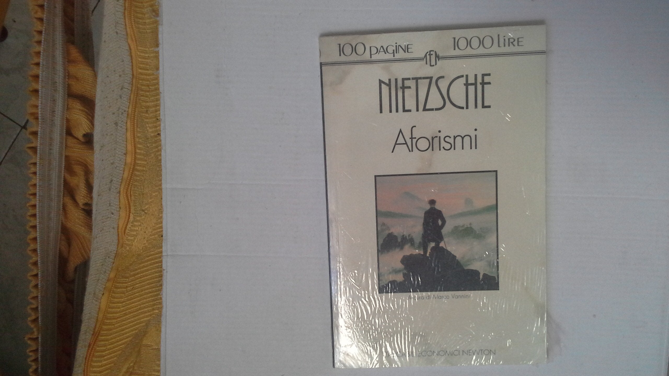 Aforismi (Tascabili economici Newton) Philosophy