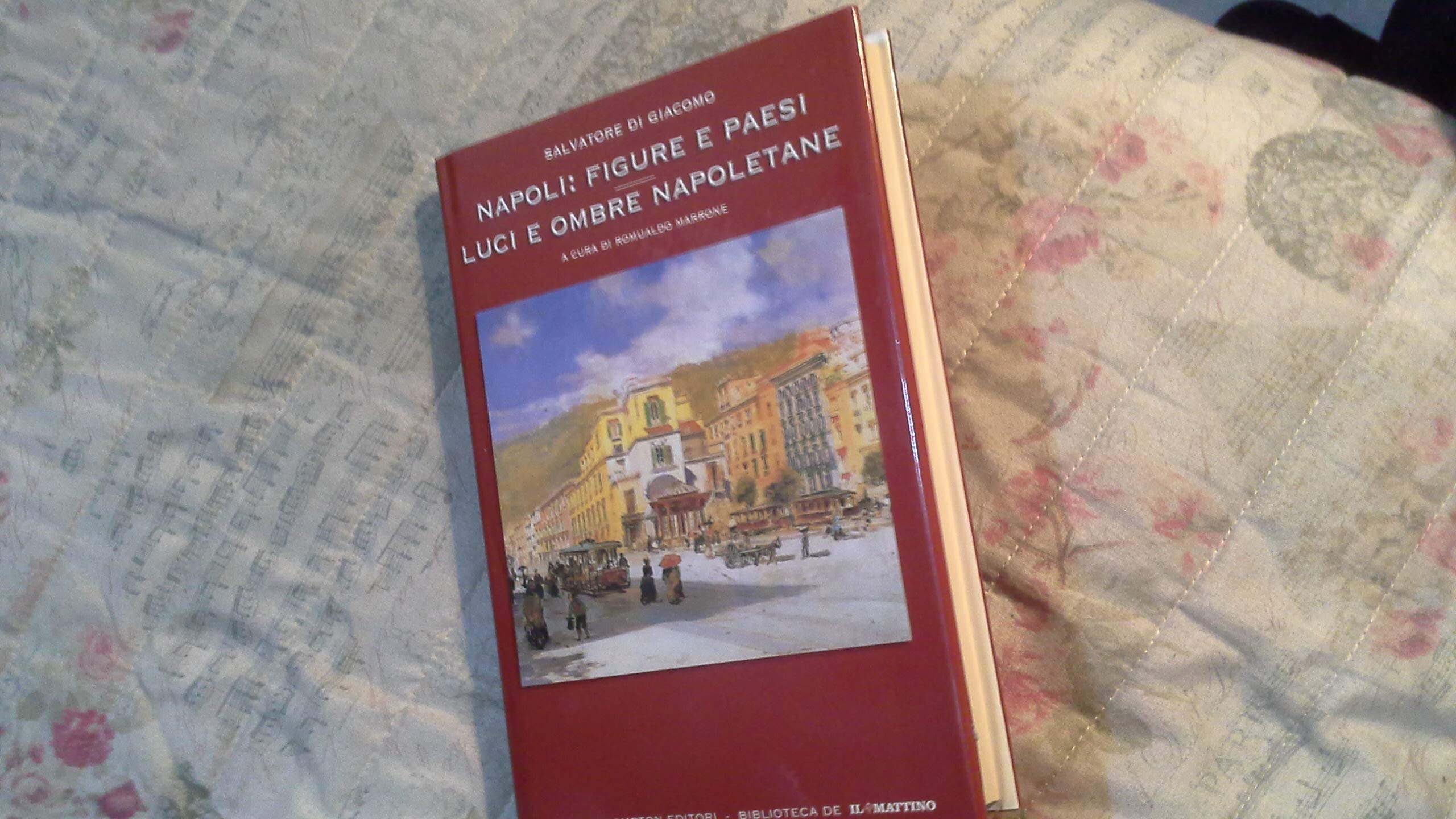 Napoli: figure e paesi e luci e ombre napoletane (Grandi tascabili economici) Books