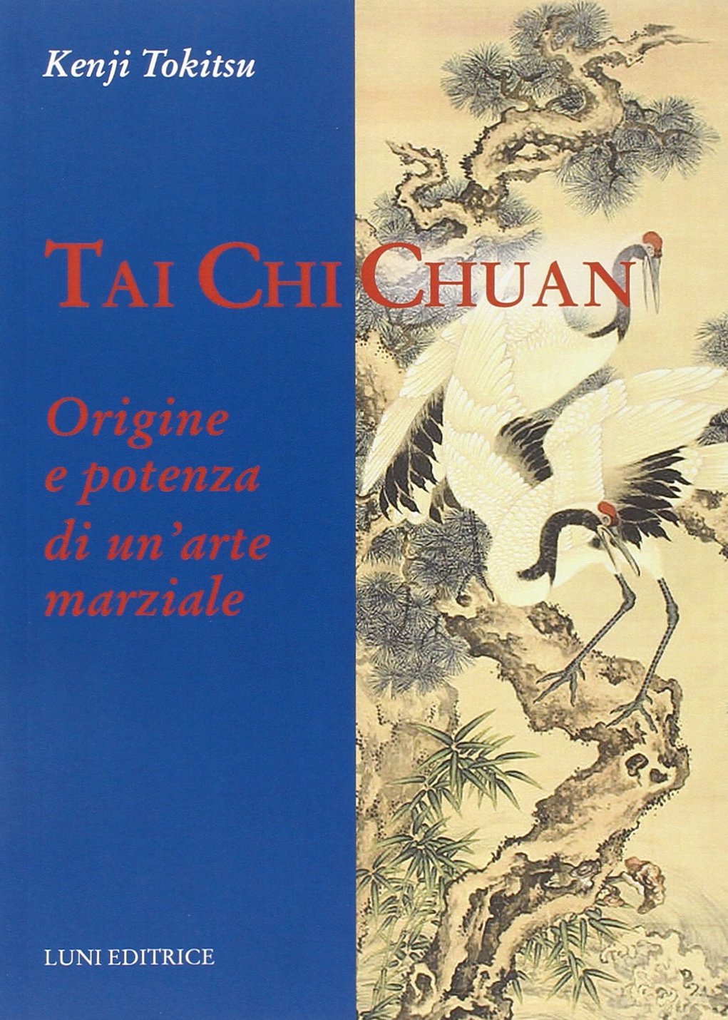 Tai Chi Chuan. Origine e potenza di un'arte marziale Leisure & Fun