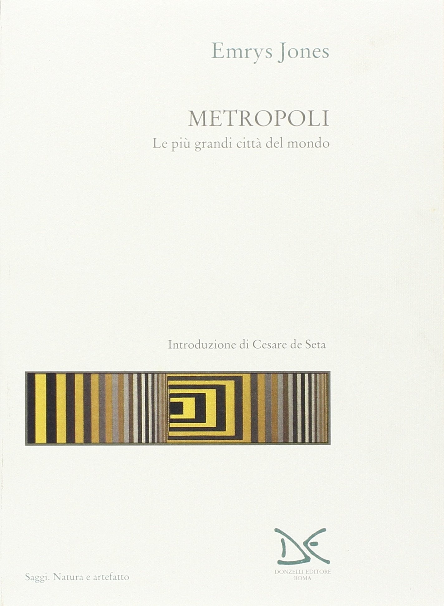 Metropoli. Le più grandi città del mondo book