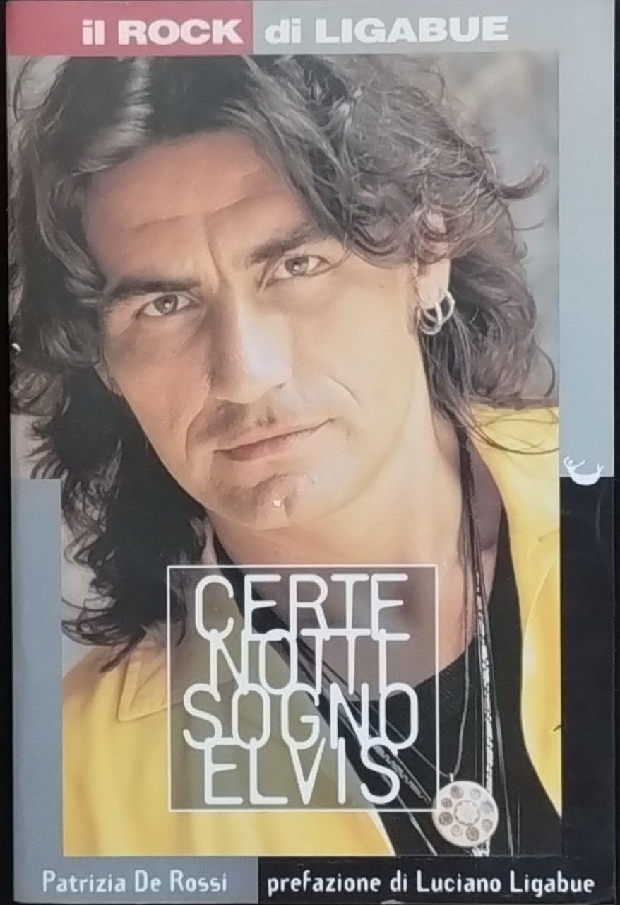 Certe volte sogno Elvis - Il rock di Ligabue book