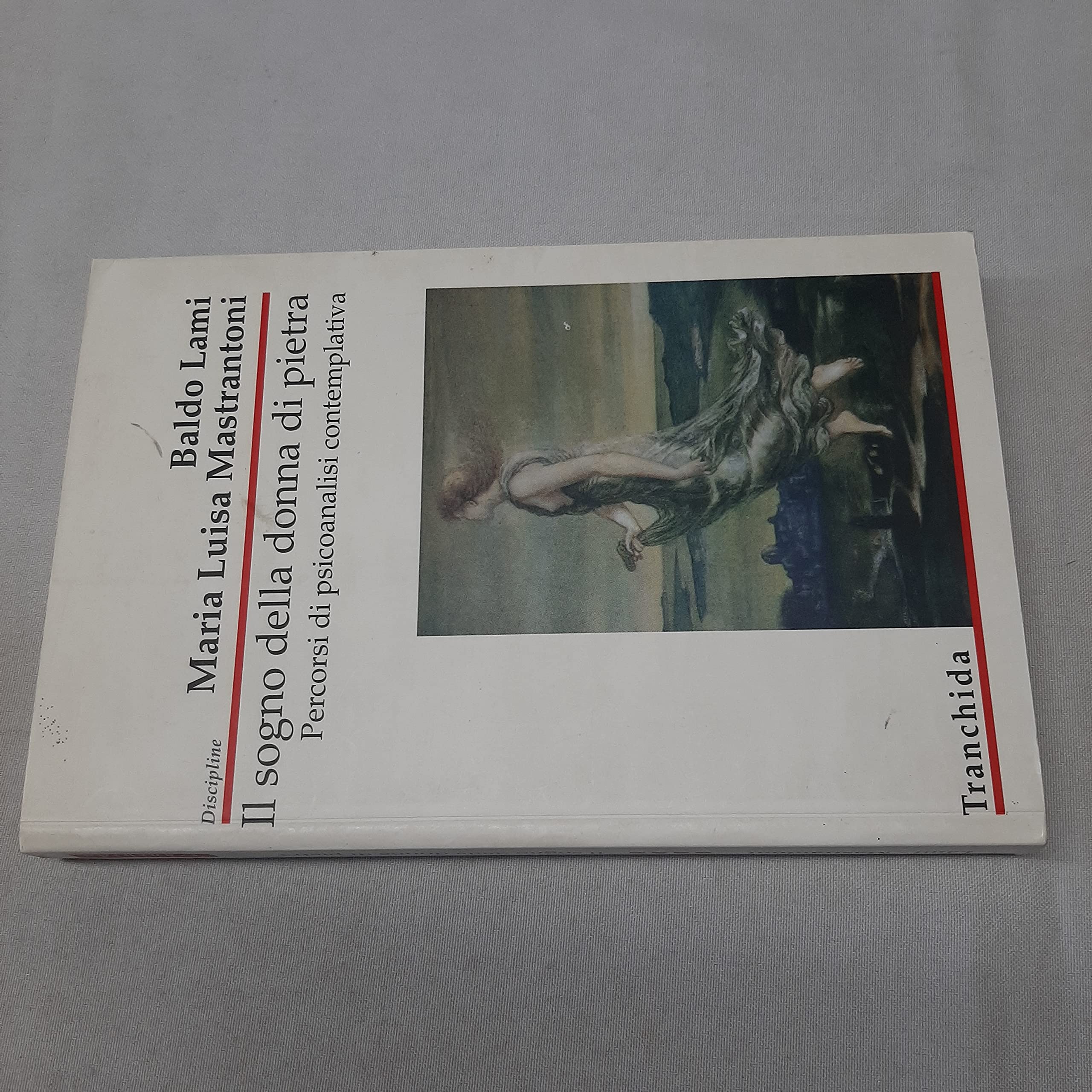 Il sogno della donna di pietra. Percorsi di psicoanalisi contemplativa book