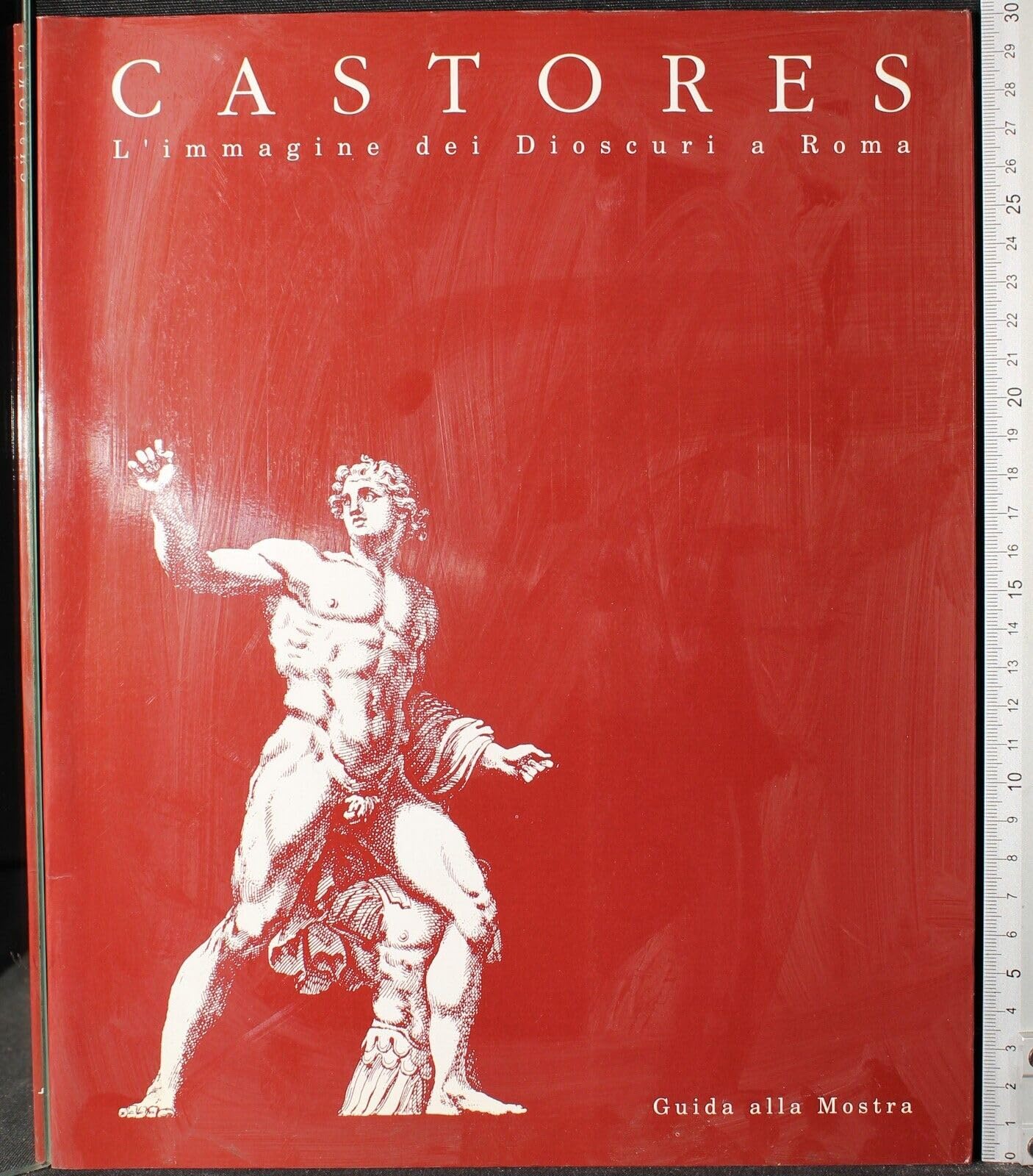 Dioscuri. Castores. L'immagine dei Dioscuri a Roma book