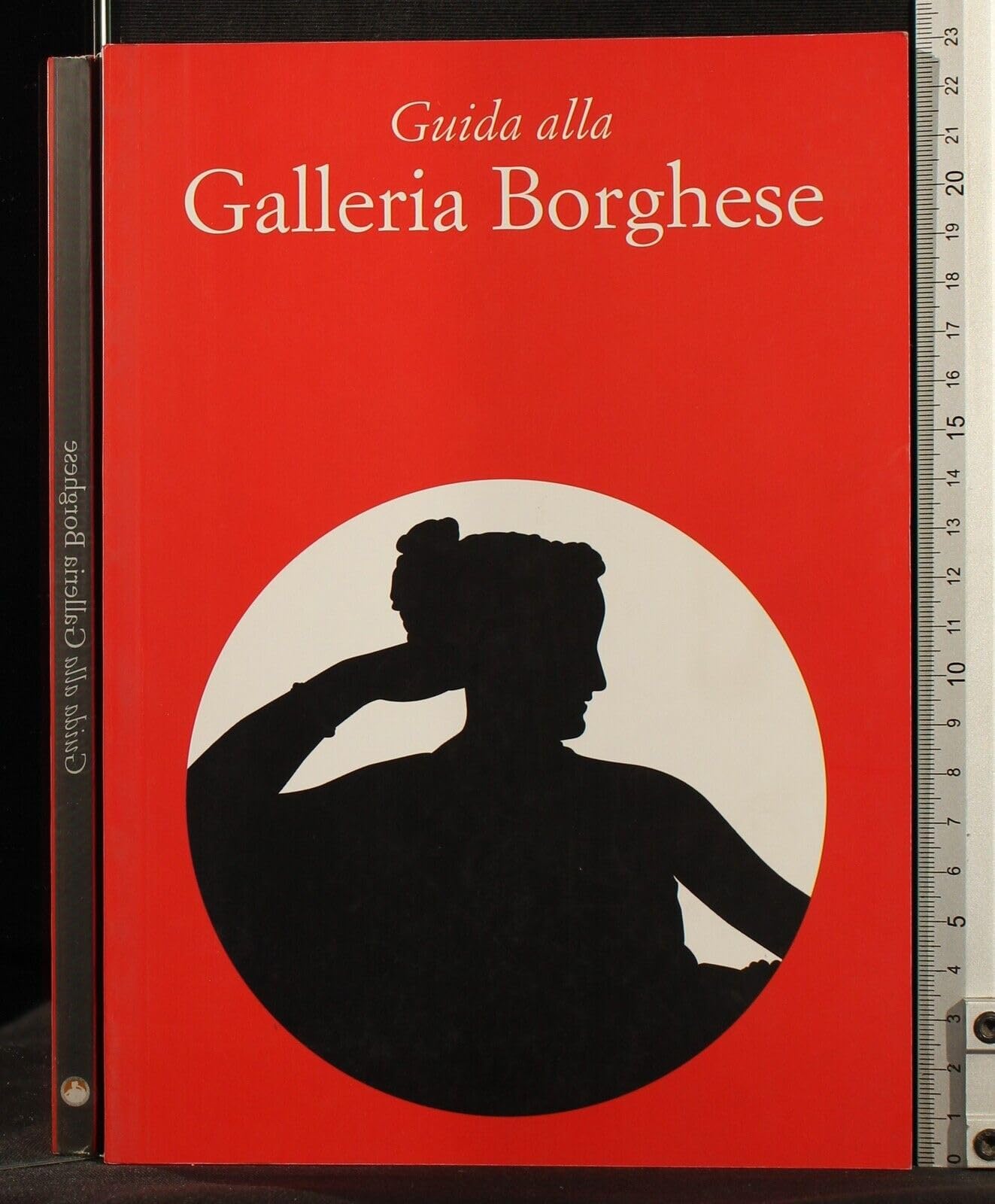 GUIDA ALLA GALLERIA BORGHESE Books