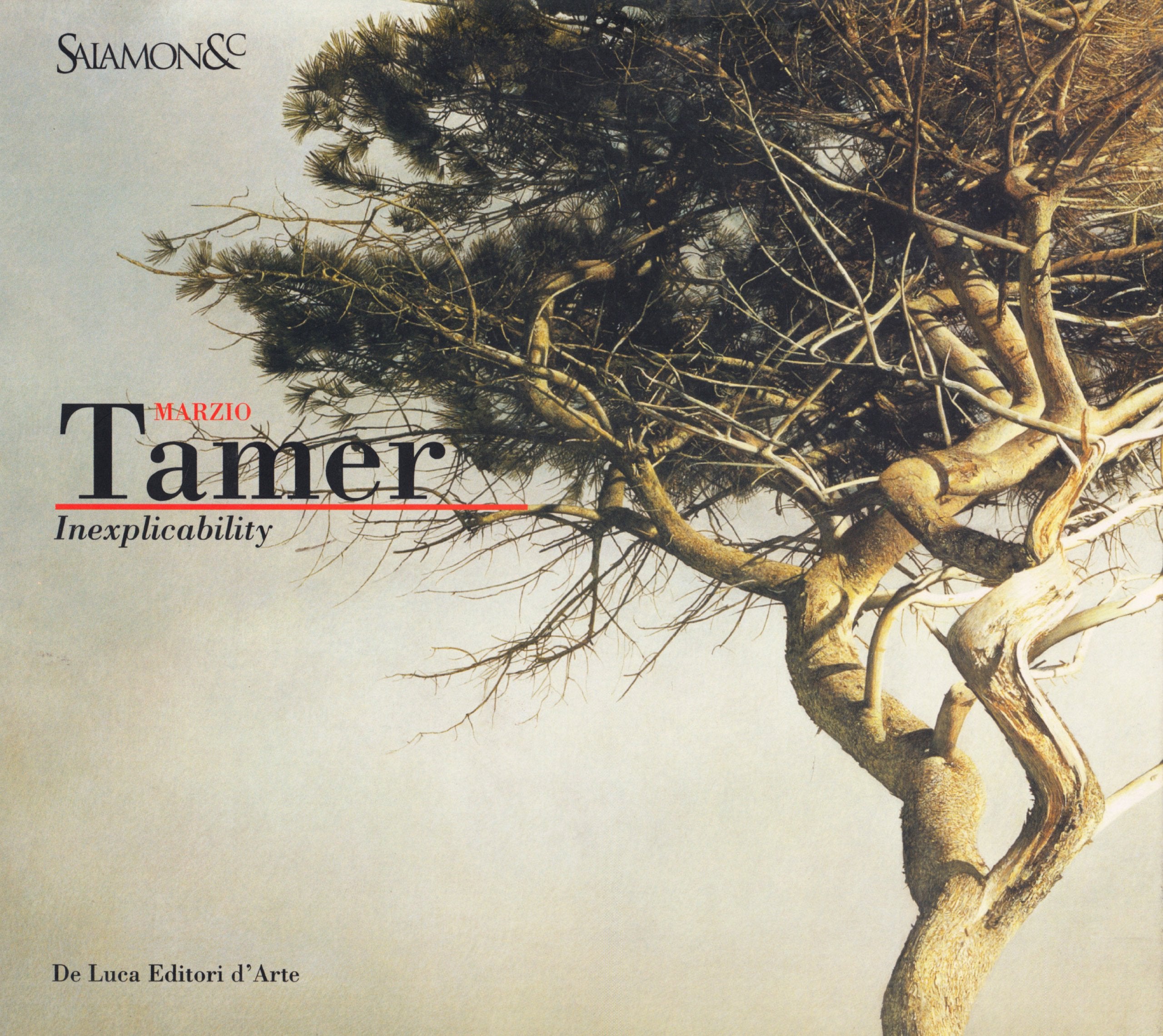 Marzio Tamer. Inexplicability Film, Art & Culture