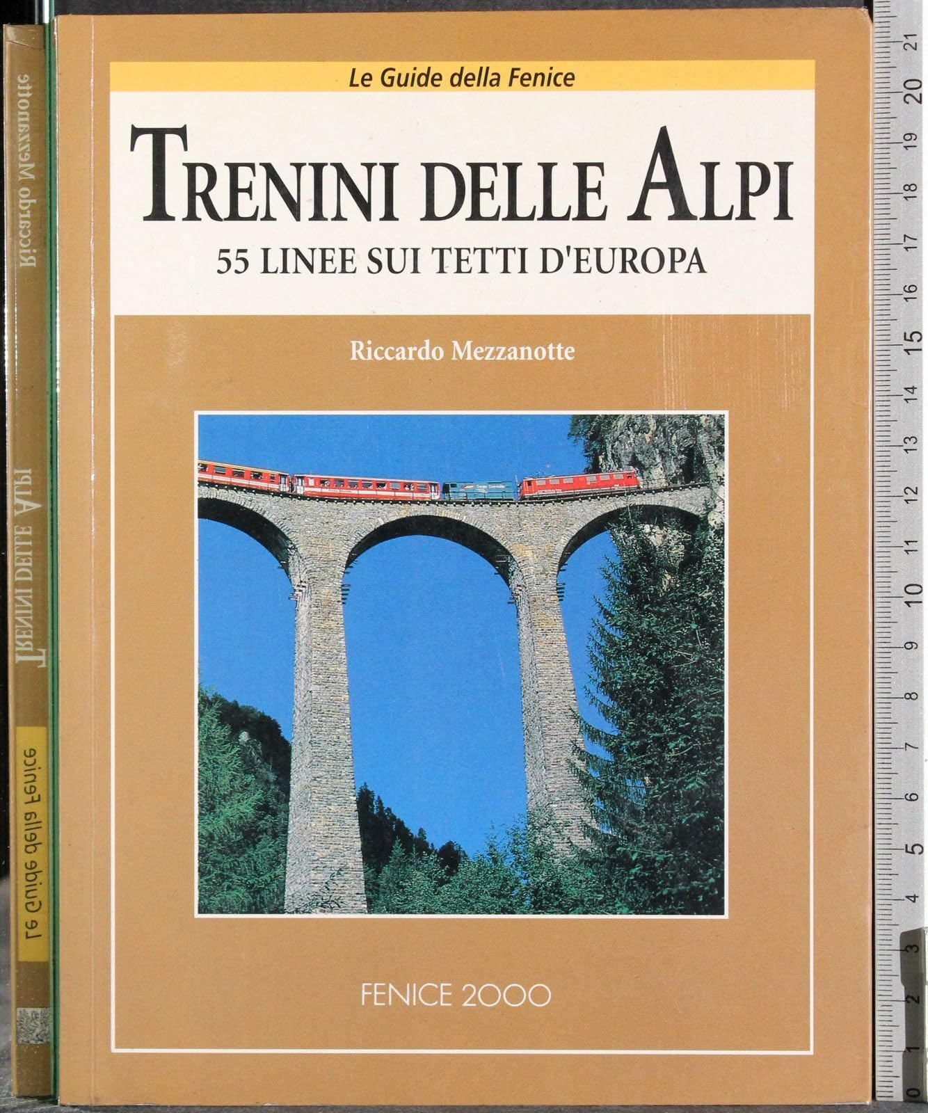 Trenini delle Alpi: 55 linee sui tetti d'Europa (Guide della Fenice) book