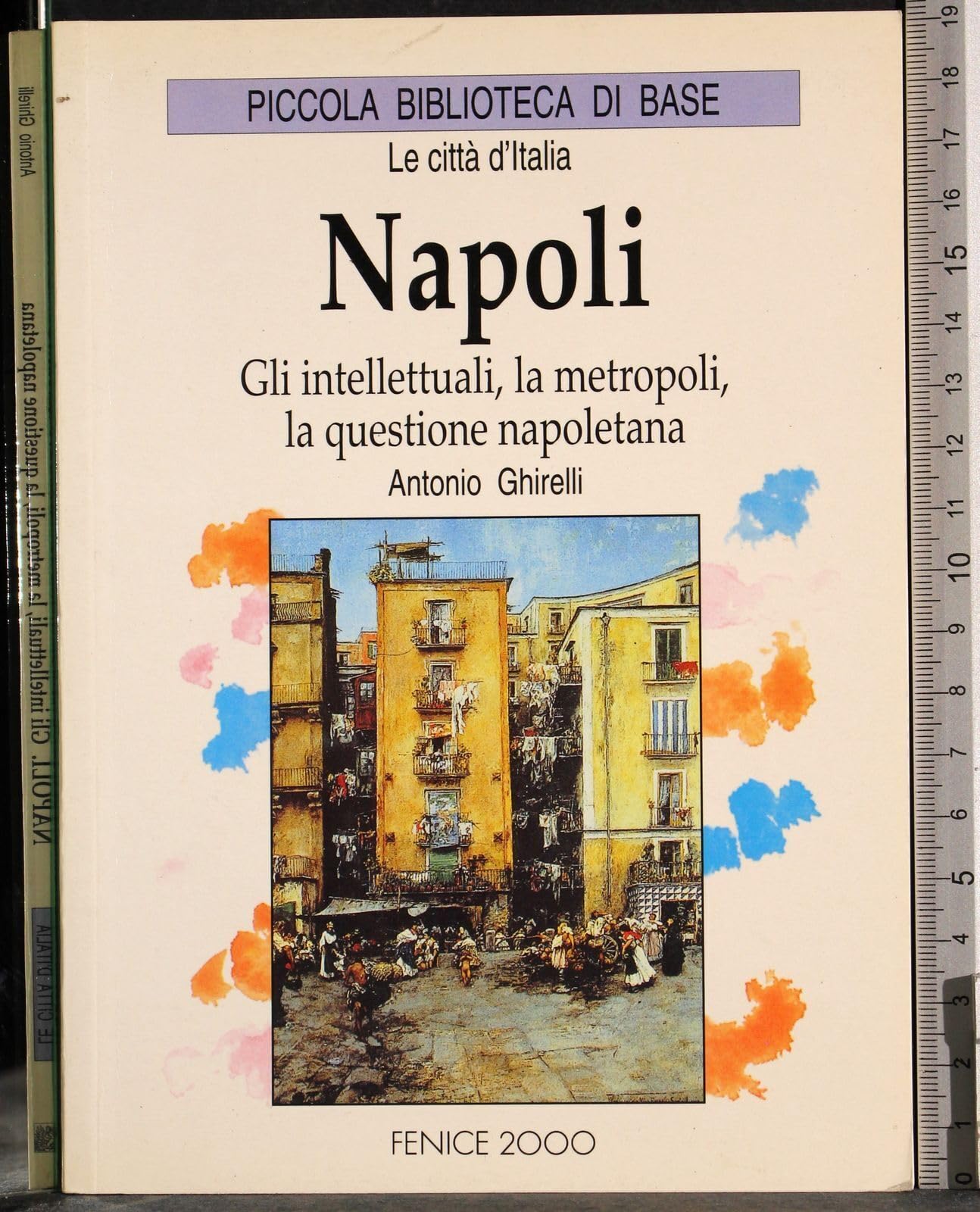 Napoli gli intellettuali, la metropoli, la questi Books