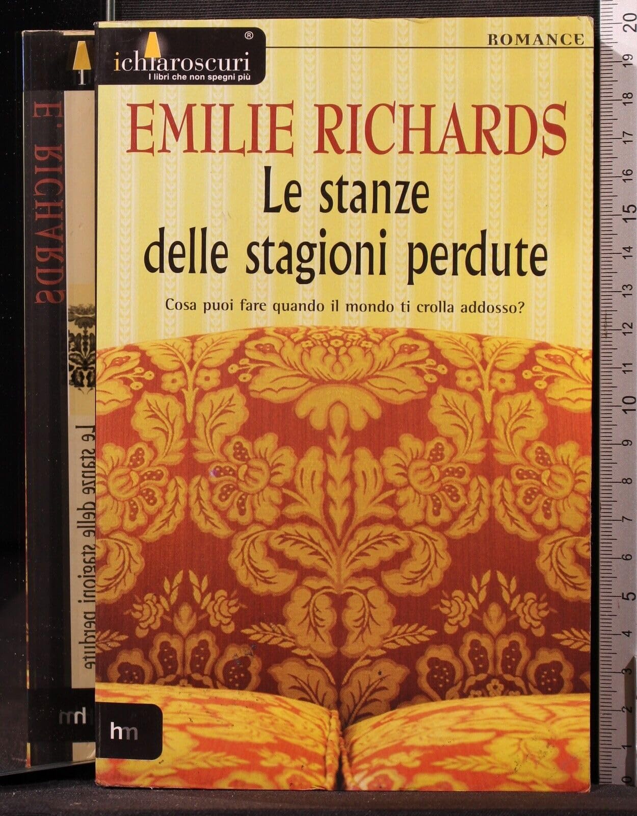 Le stanze delle stagioni perdute. Cosa puoi fare quando il mondo ti crolla addosso? (I chiaroscuri) Books