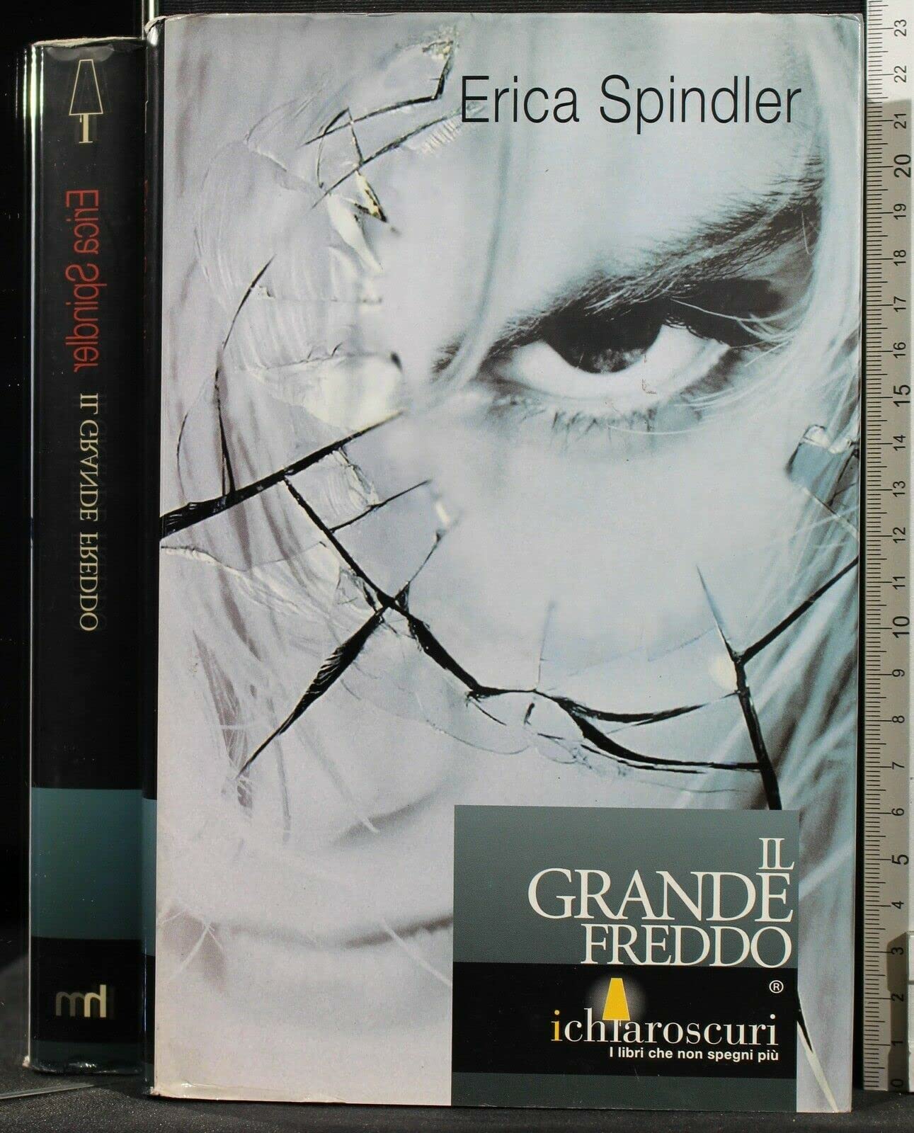Il grande freddo (I chiaroscuri) Books