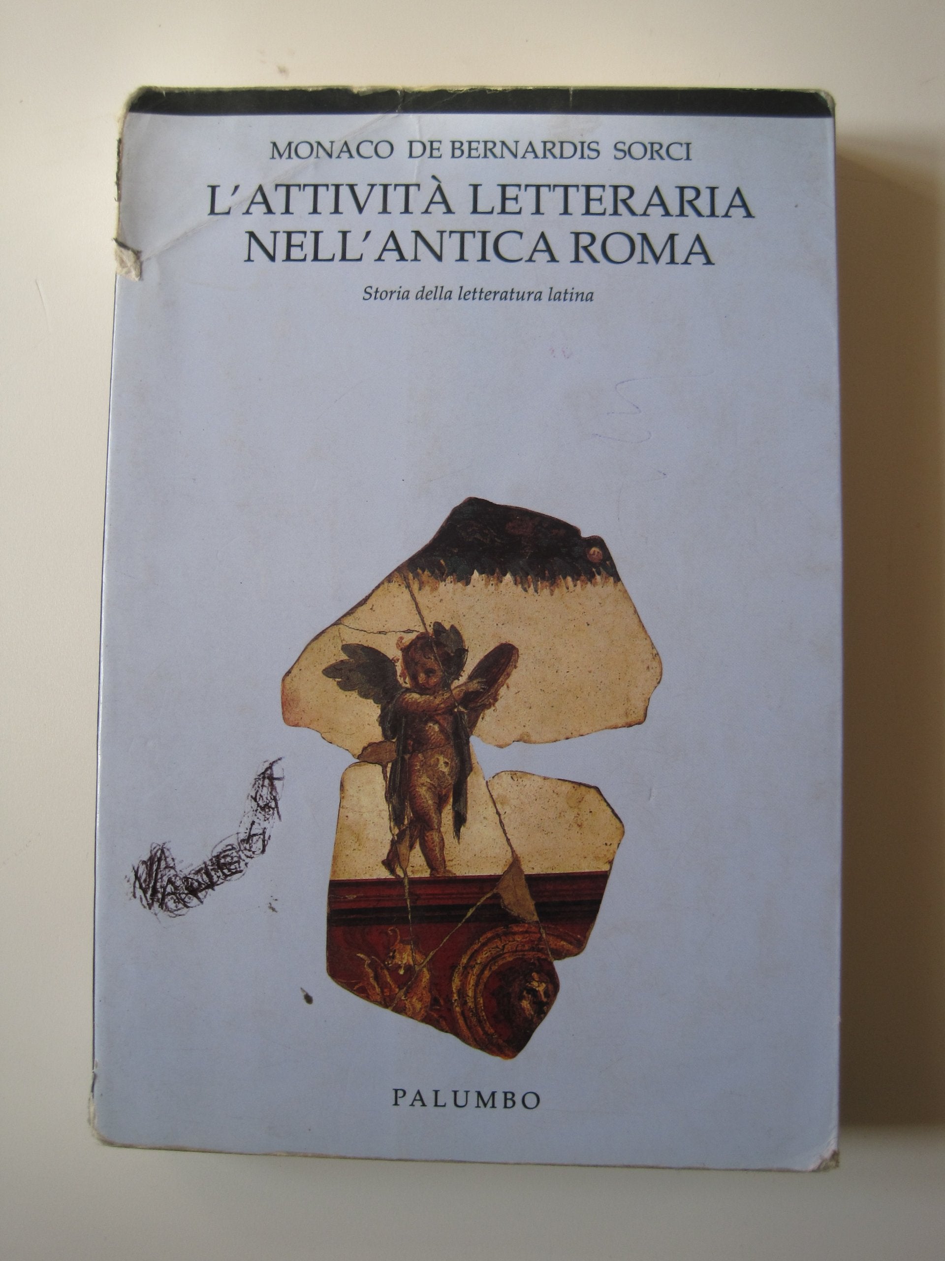 La attività letteraria nell'antica Roma. Per i Licei e gli Ist. Magistrali book