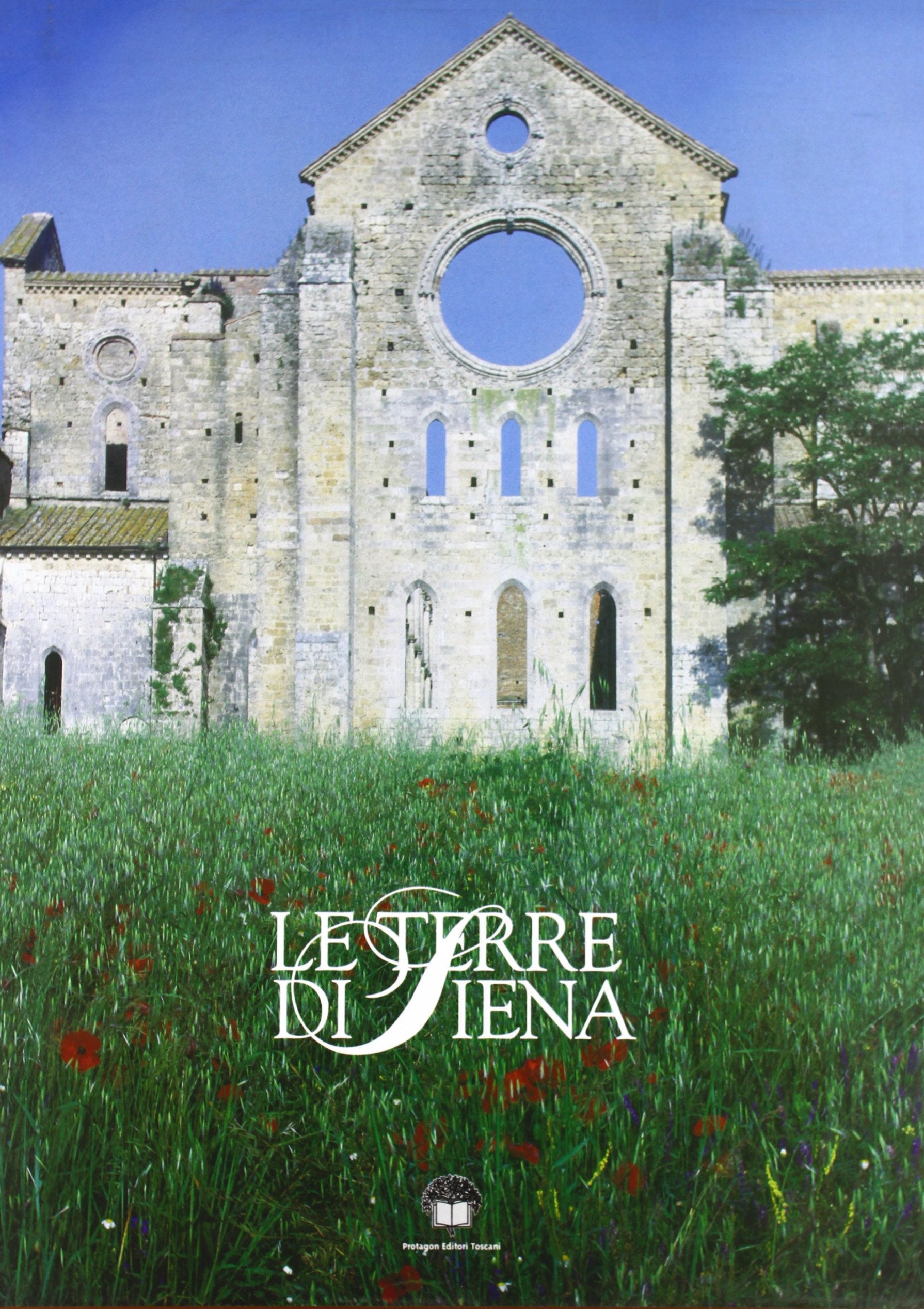 Le terre di Siena. Le storie, l'arte e la cultura di una provincia unica (Vol. 2) book