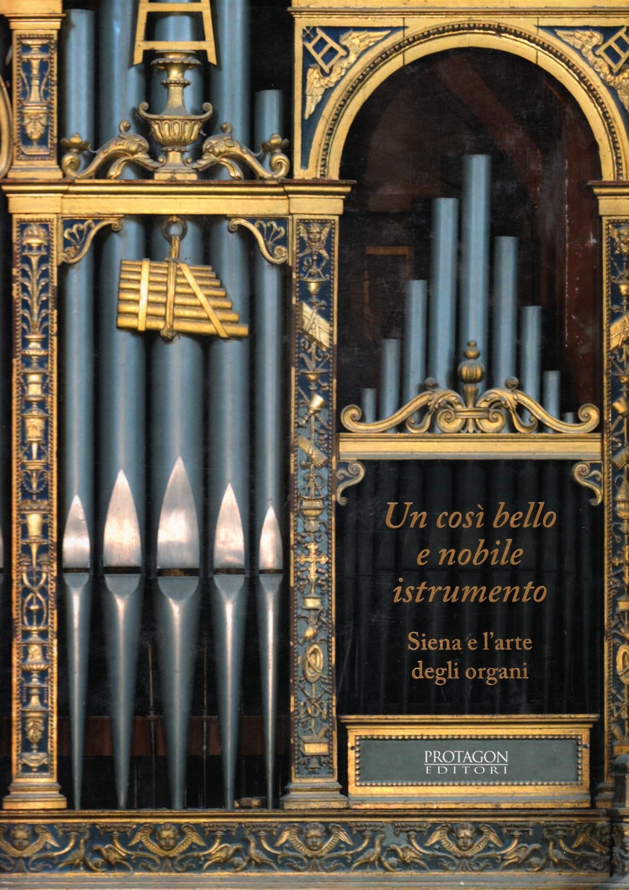 Un così bello e nobile istrumento. Siena e l'arte degli organi book