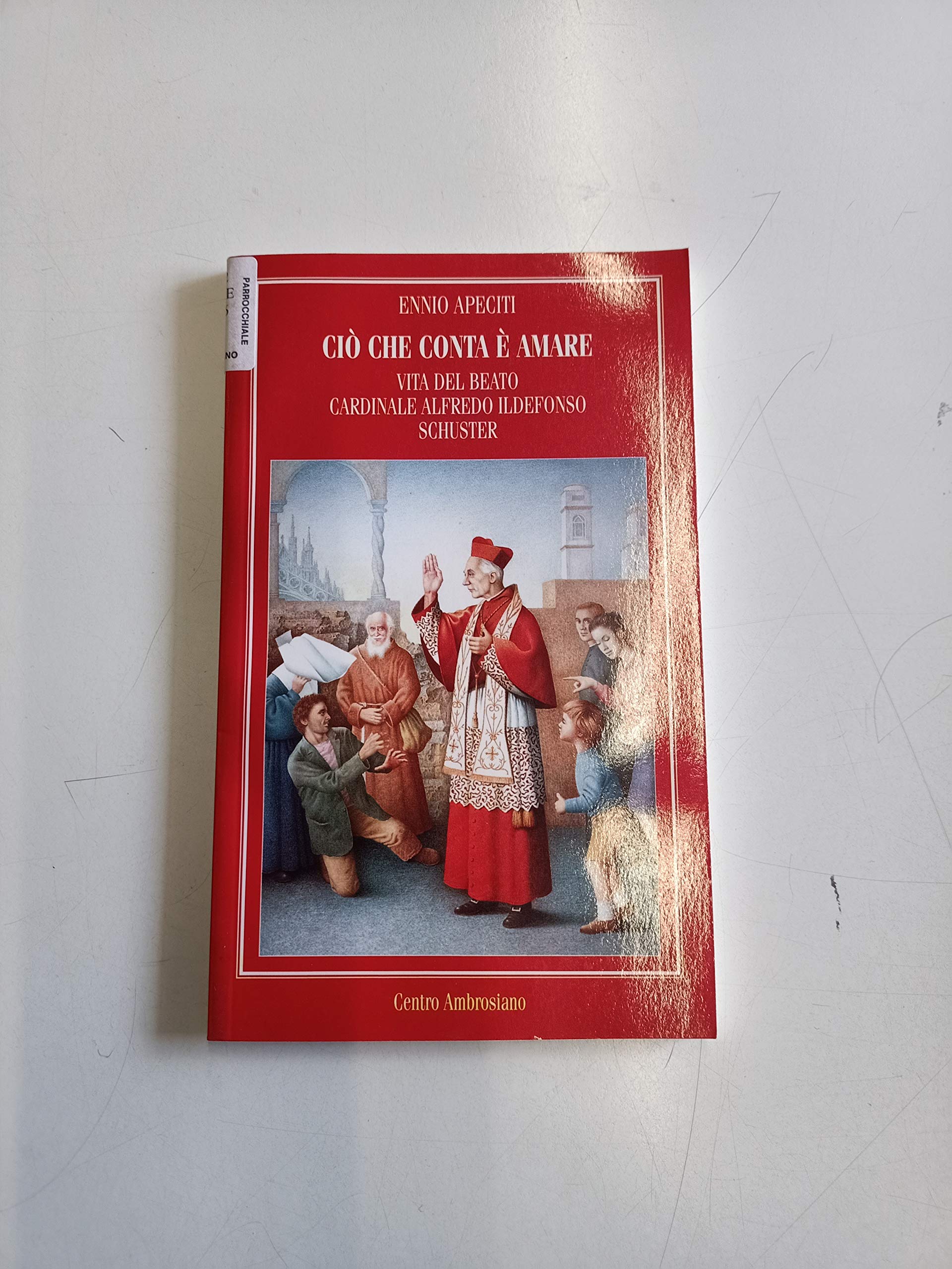 Ciò che conta è amare. Vita del beato cardinale Alfredo Ildefonso Schuster book