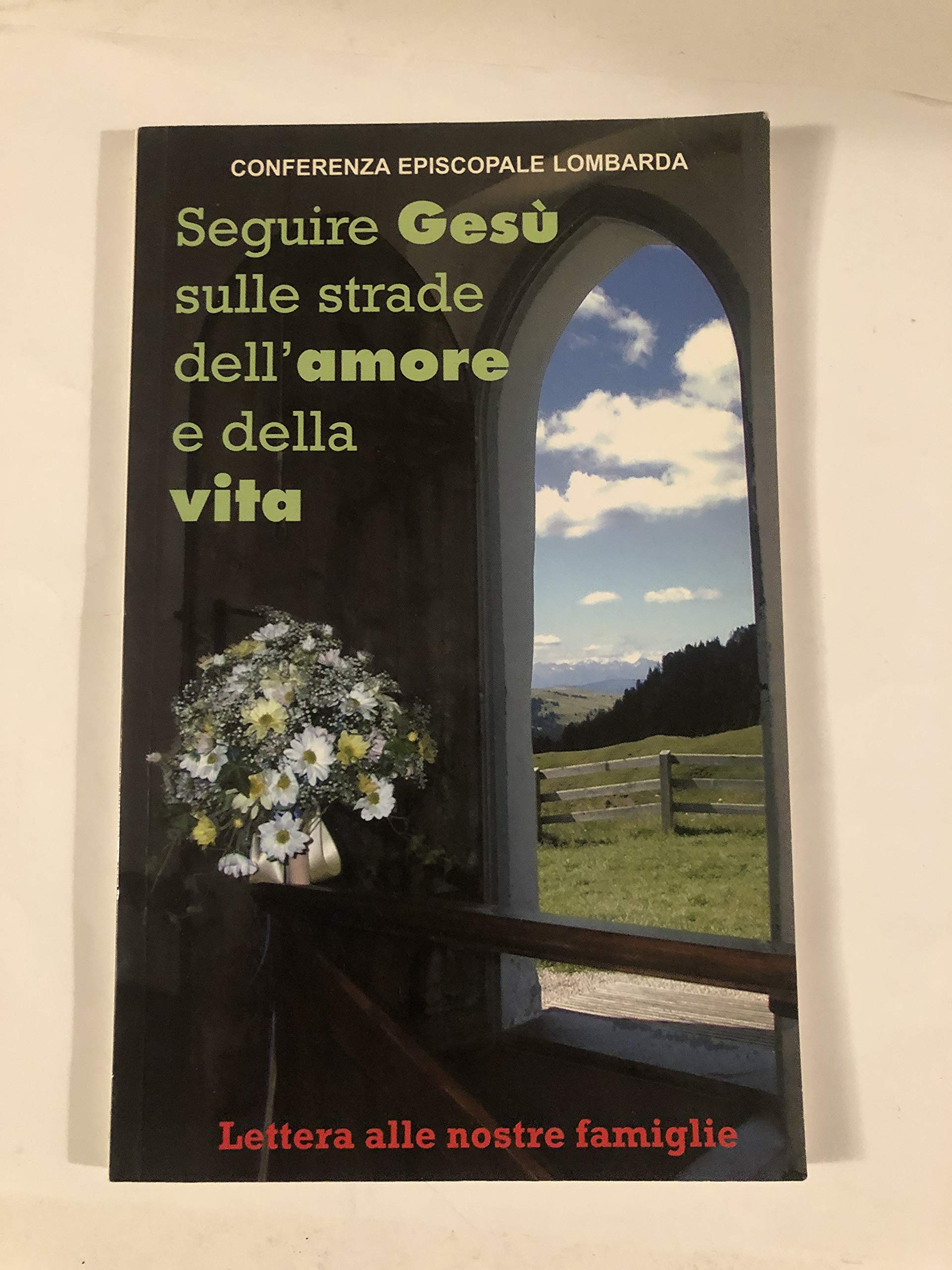 Seguire Gesù sulle strade dell'amore e della vita. Lettera alle nostre famiglie Religion & Esotericism