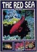 The Red Sea (Nature & Environment S.) Mathematics
