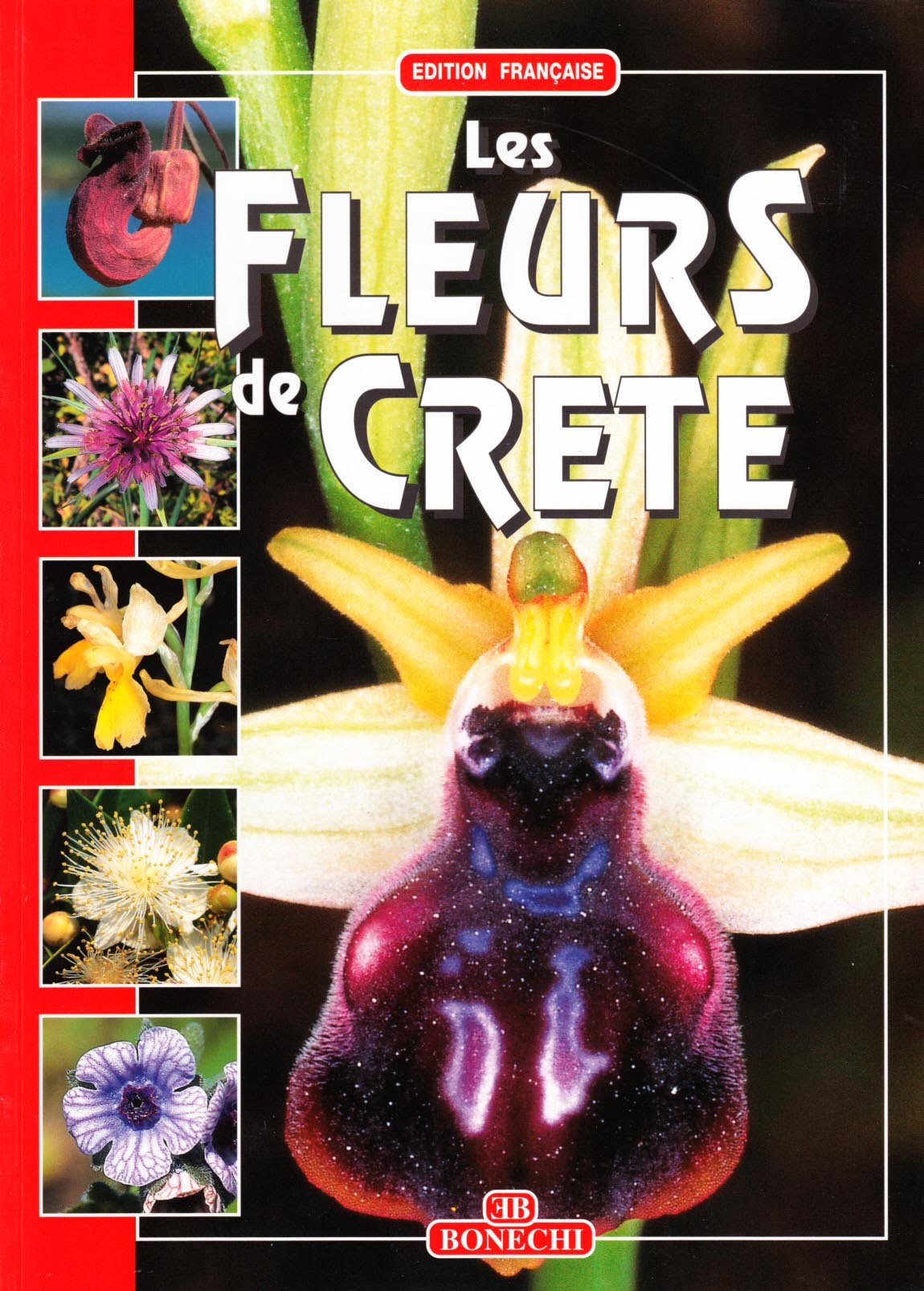 I Fiori Di Creta . Ediz. Francese Leisure, Home & Garden
