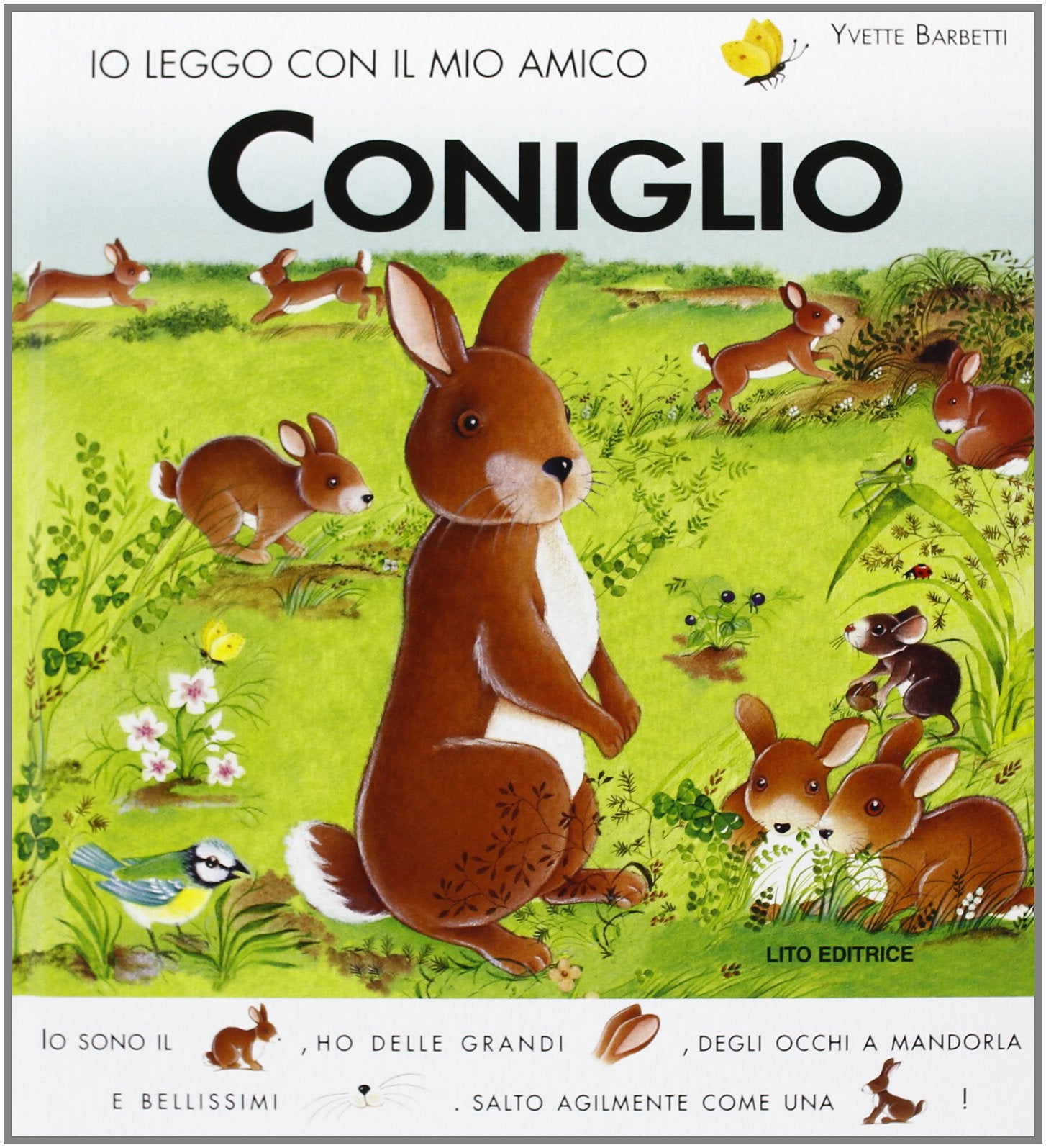 Io leggo con il mio amico coniglio book