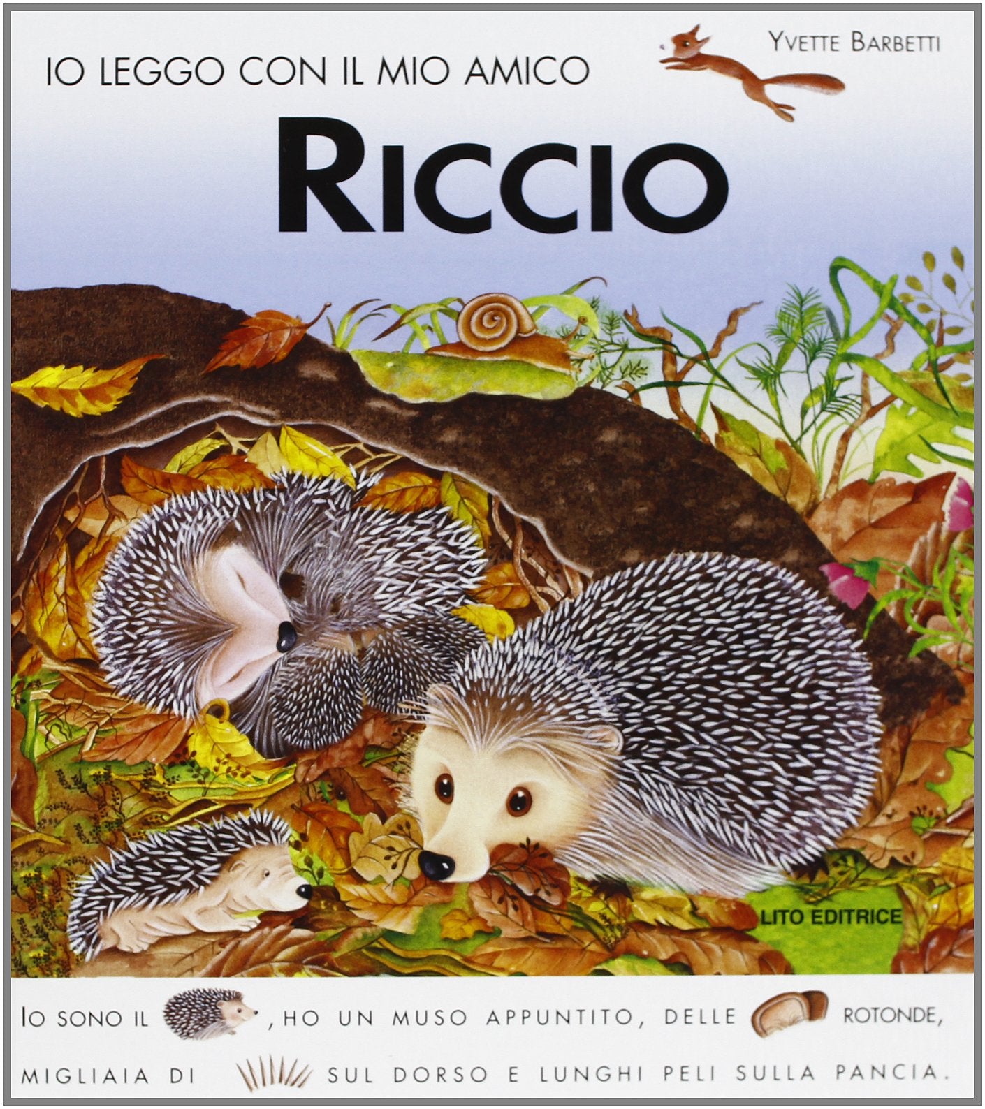 Io leggo con il mio amico riccio Children's books