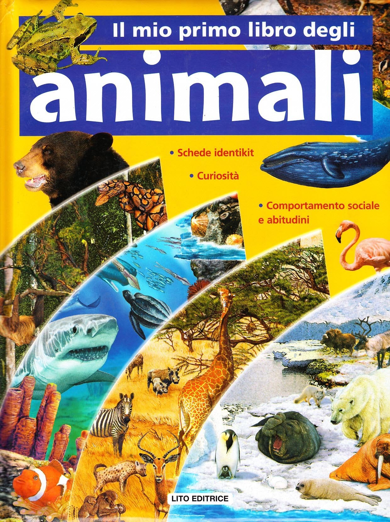 Il mio primo libro degli animali. Ediz. illustrata book