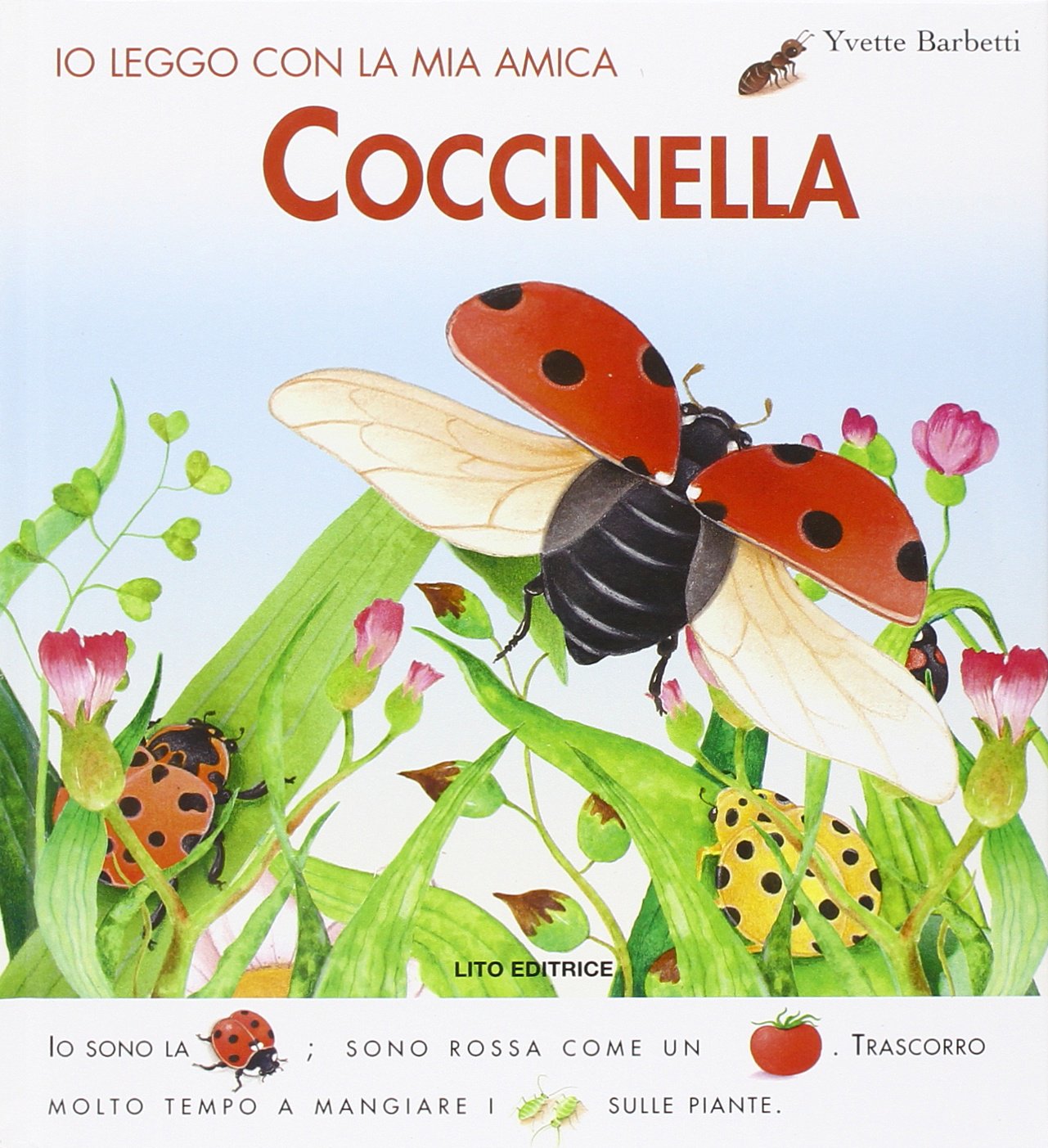 Io leggo con la mia amica coccinella. Ediz. illustrata Babies & Toddlers