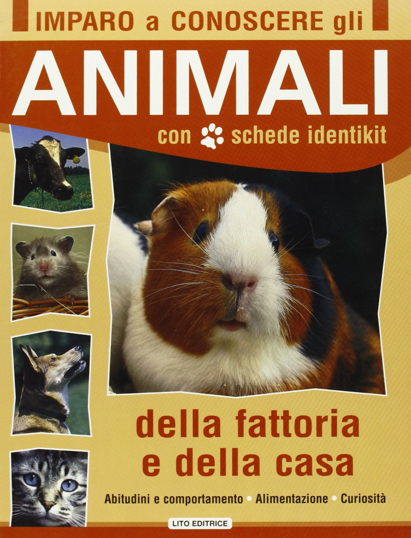 Imparo a conoscere gli animali. Ediz. illustrata book